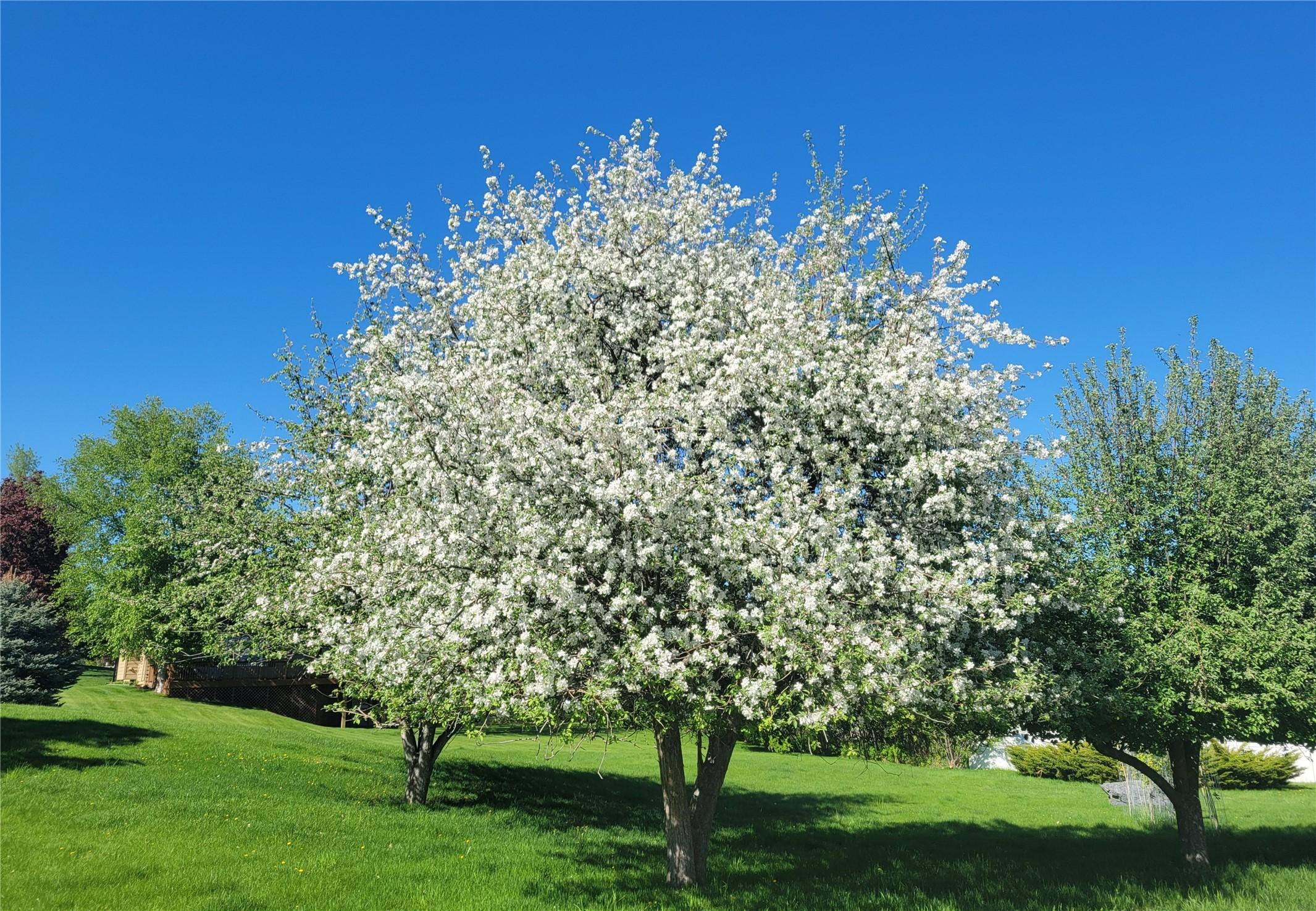Bigfork, Montana, 59911, United States, 4 Bedrooms Bedrooms, ,2 BathroomsBathrooms,Residential,For Sale,1992095