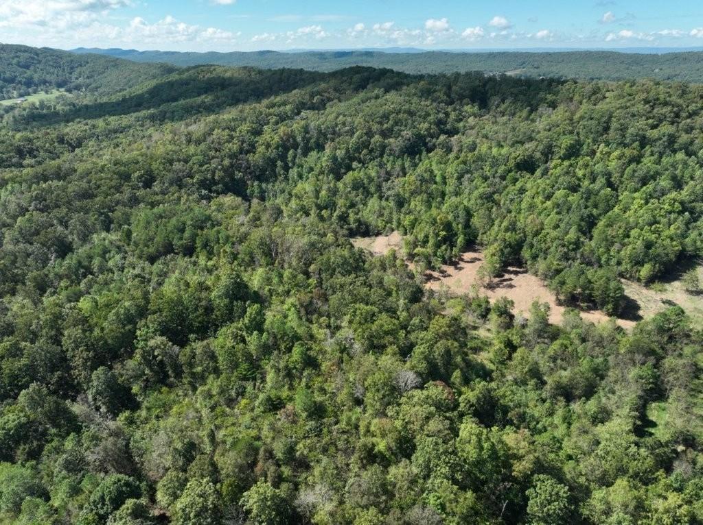 Ringgold, Georgia, 30736, United States, ,Residential,For Sale,1958114