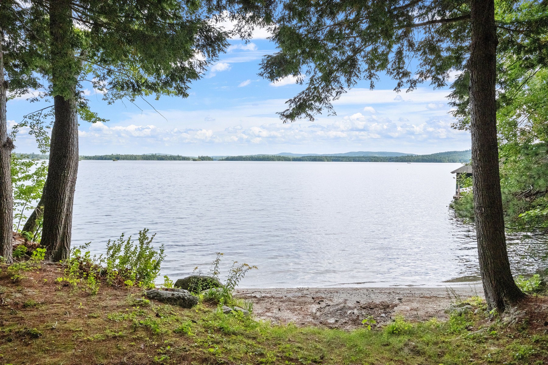  294 Pinehurst Road - 物件實景