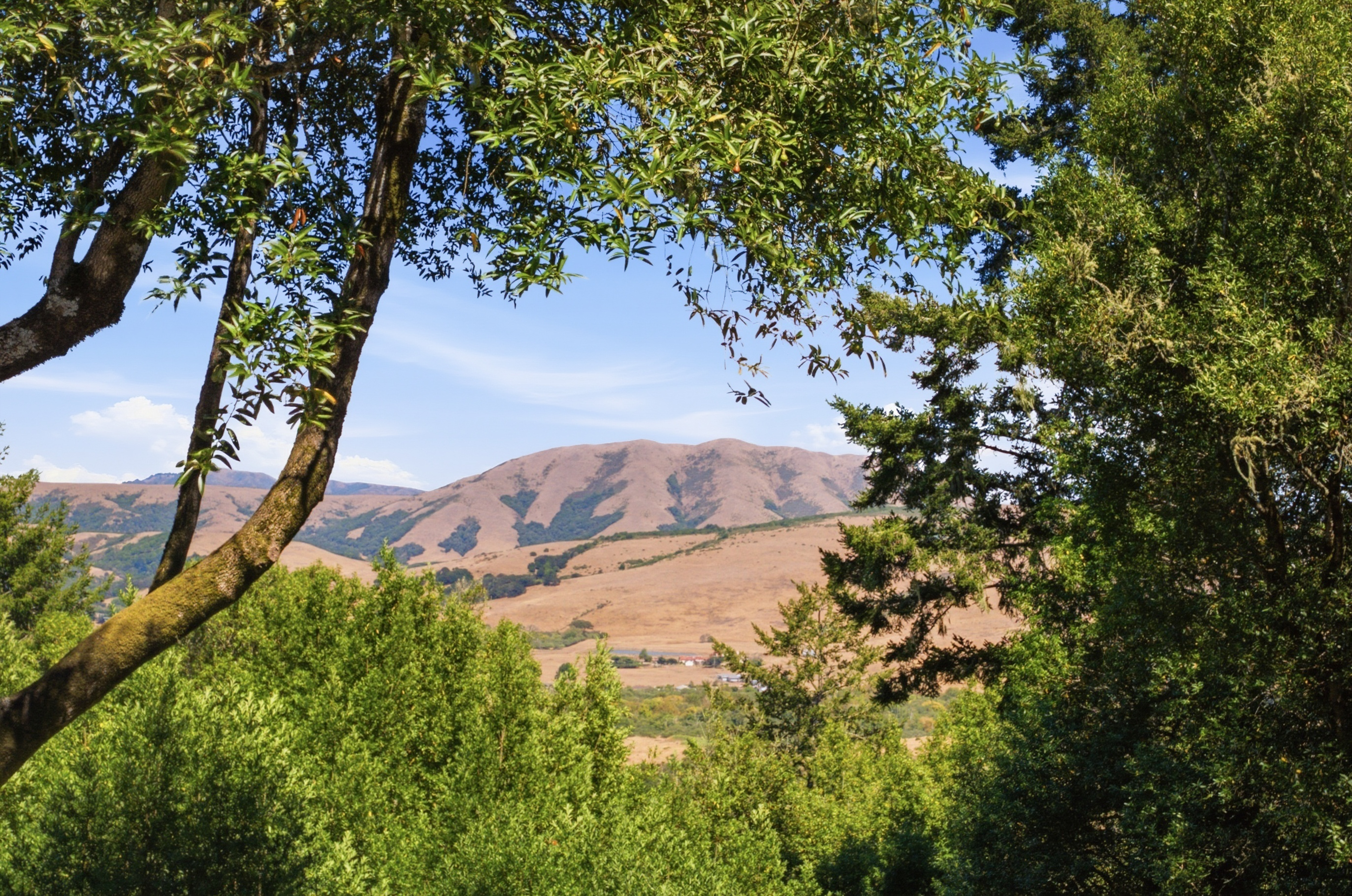 West Marin Legacy Estate - 物件實景