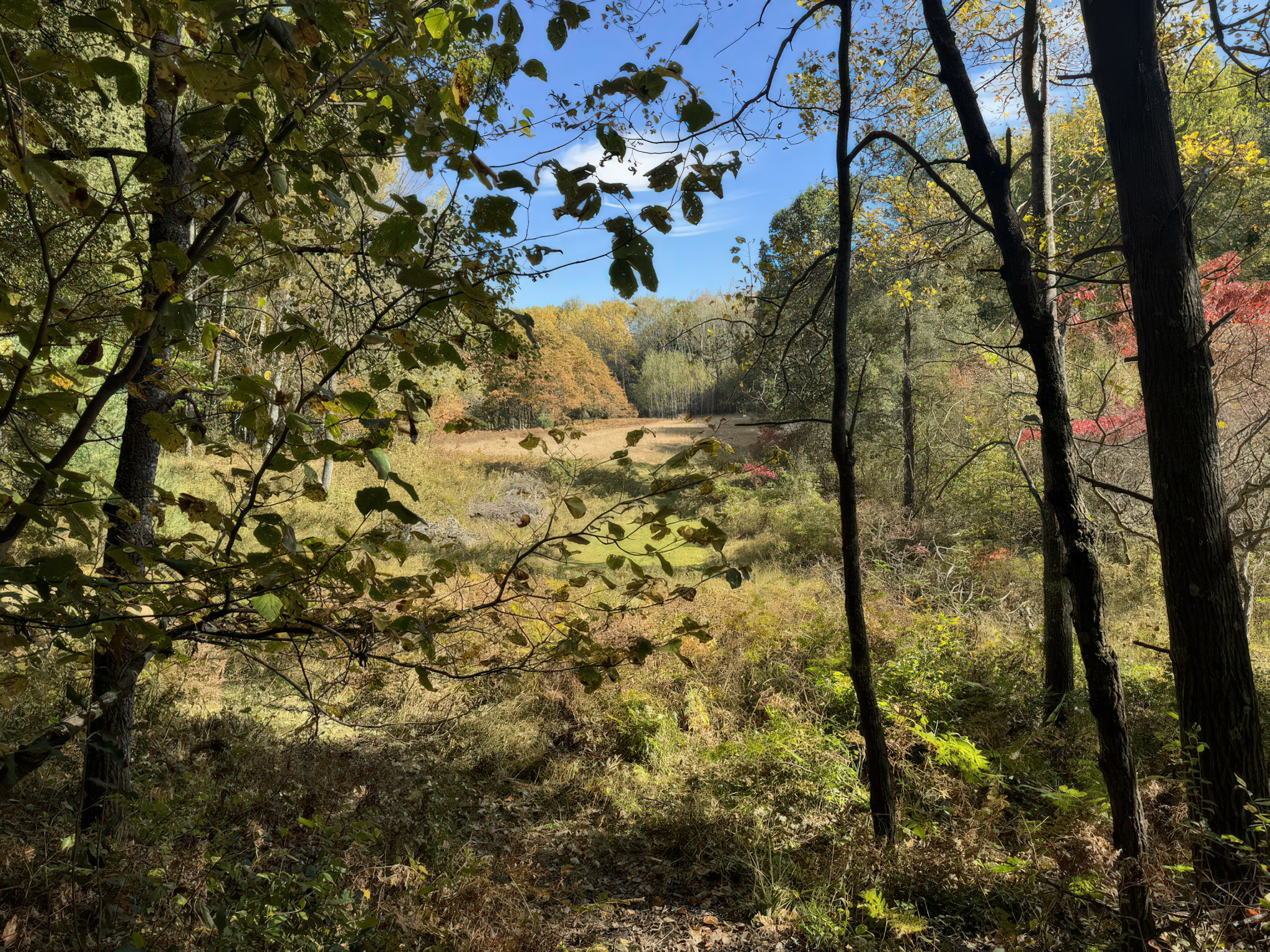 Branch, Michigan, 49402, United States, 1 Bedroom Bedrooms, ,1 BathroomBathrooms,Residential,For Sale,2001233