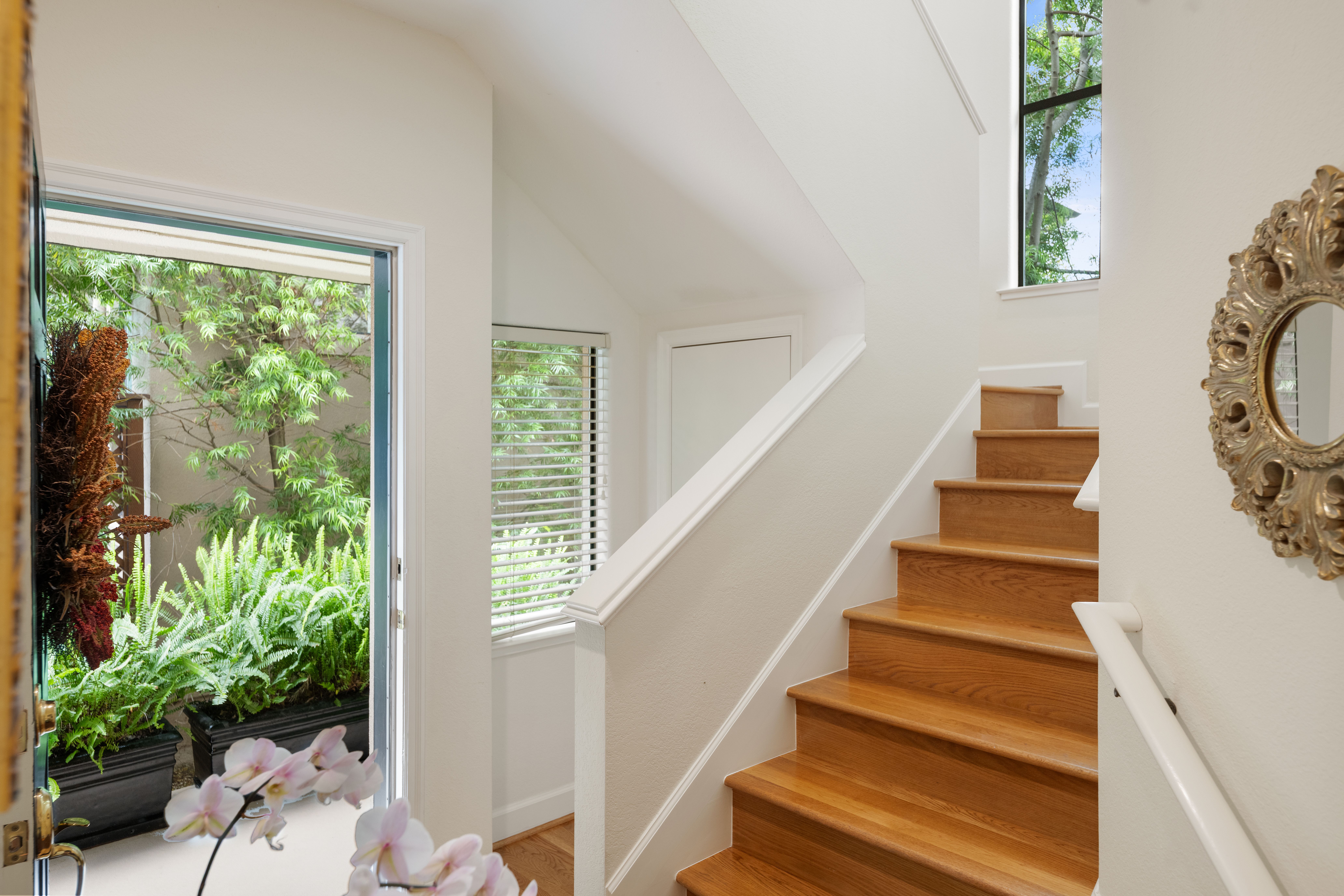  The San Anselmo Good Life - 物件實景