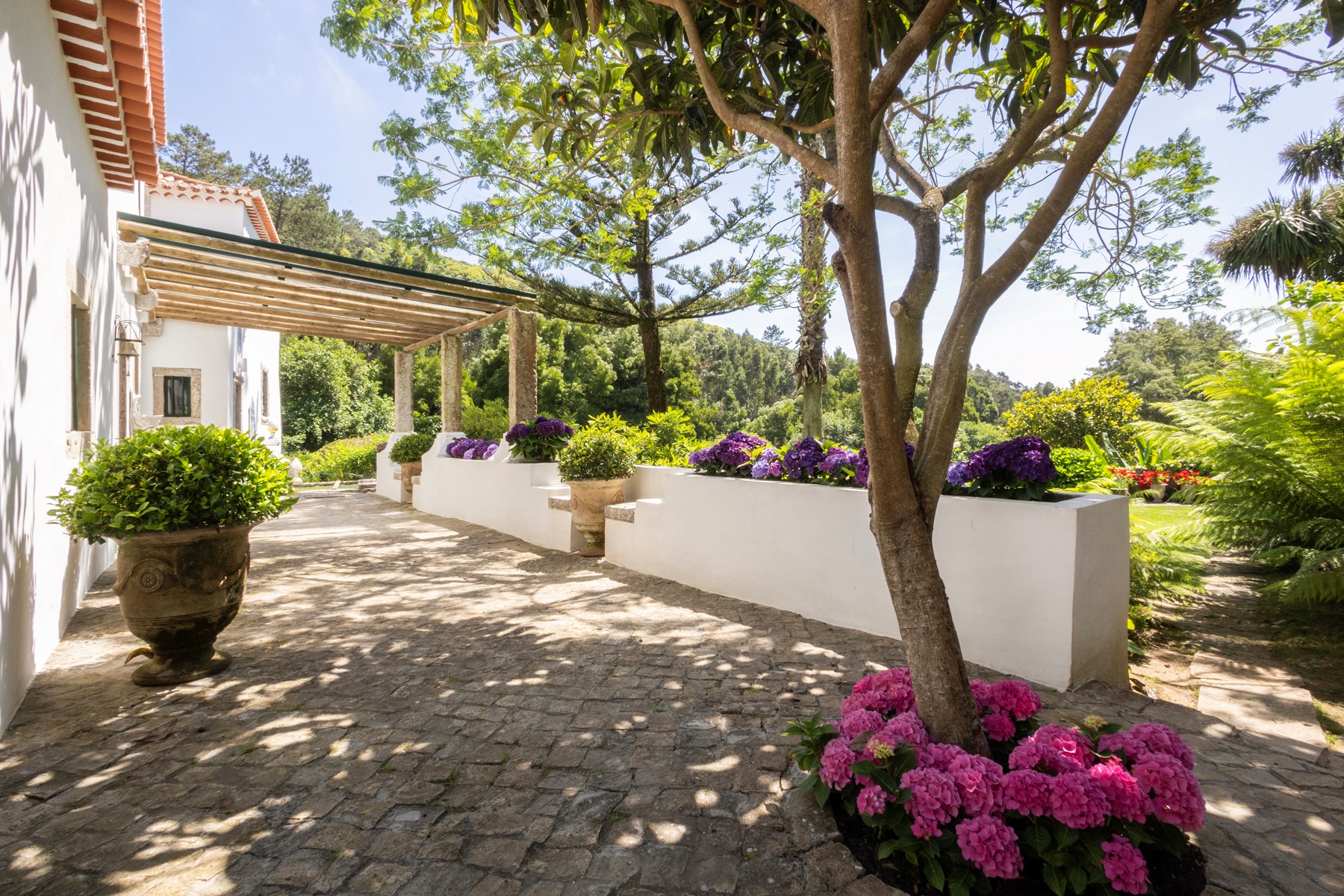  Detached house, 5 bedrooms, for Sale - 物件實景