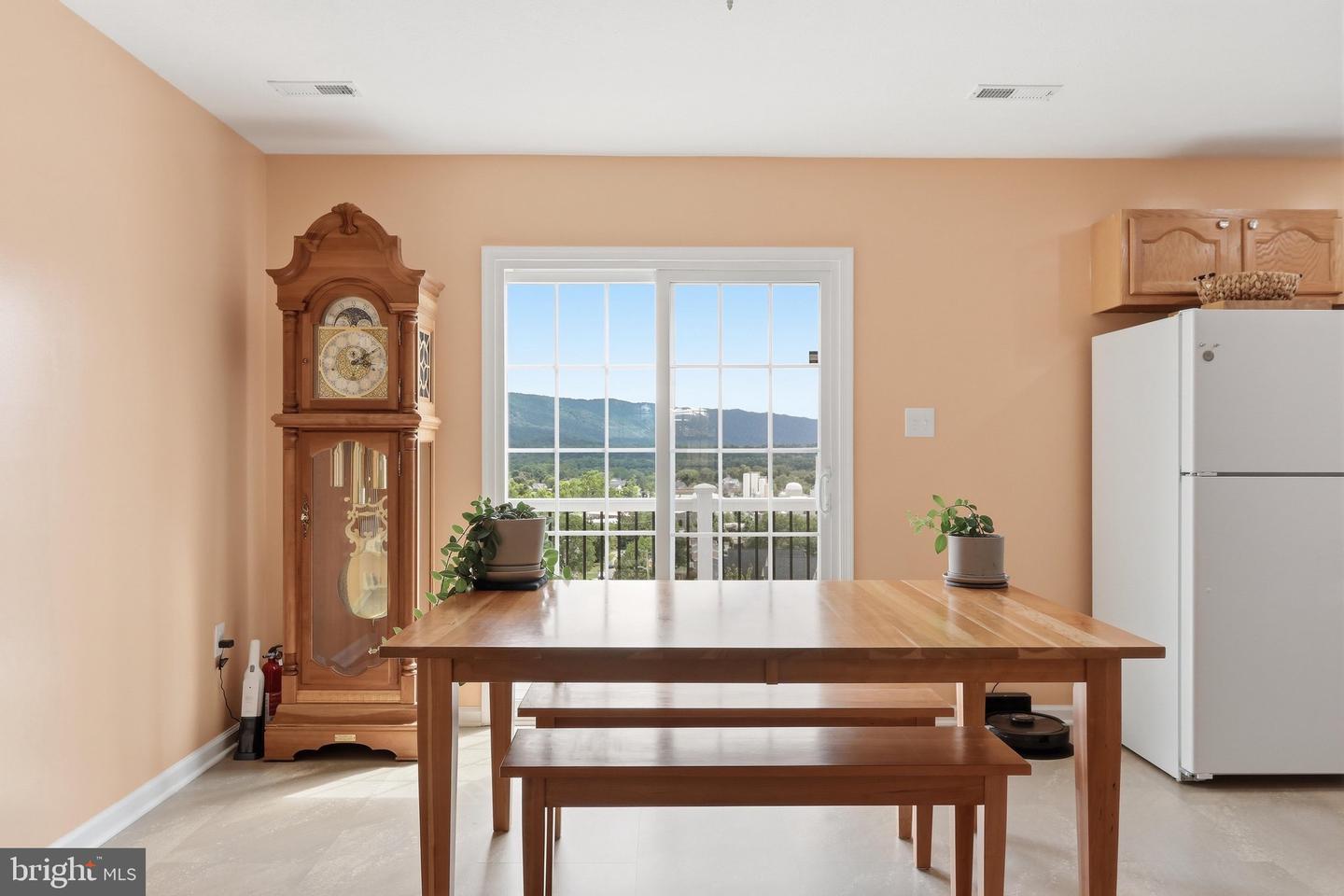 Thompson St, Strasburg, VA 22657 #1
