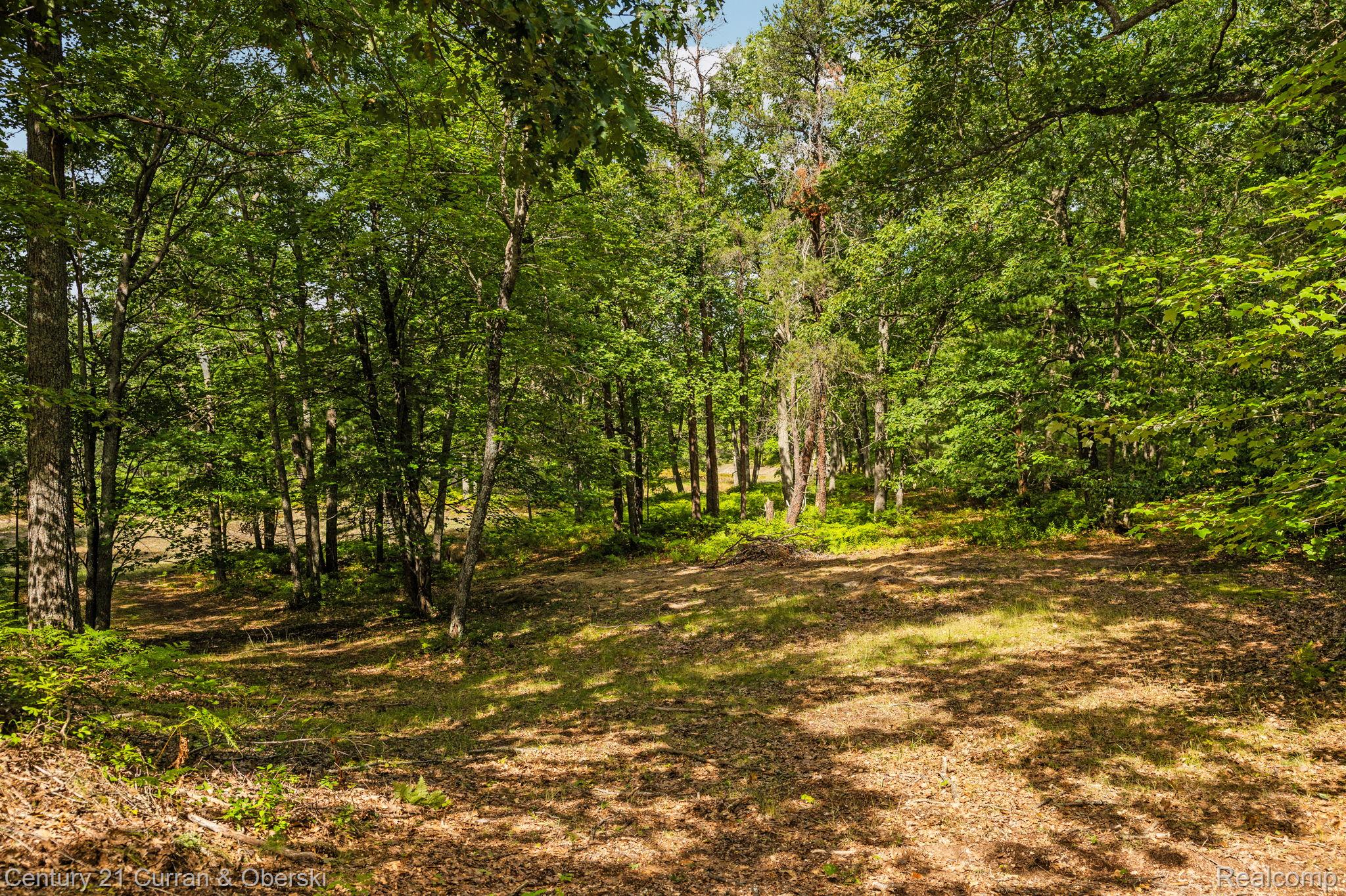 Onaway, Michigan, 49765, United States, 4 Bedrooms Bedrooms, ,2 BathroomsBathrooms,Residential,For Sale,1980098