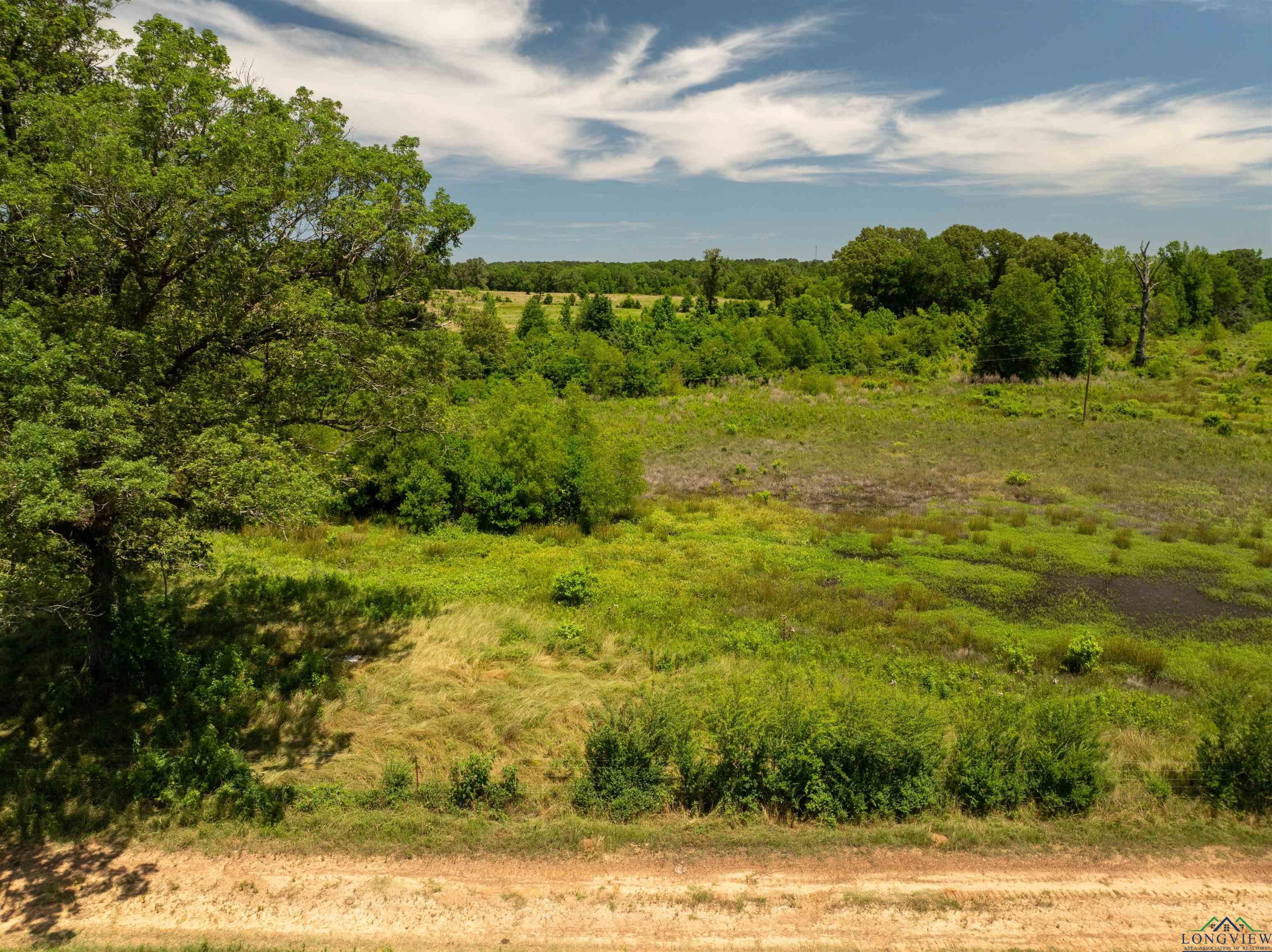 7557 FM 248, Lodi, Texas, 75564, United States, ,Residential,For Sale,7557 FM 248,1614560