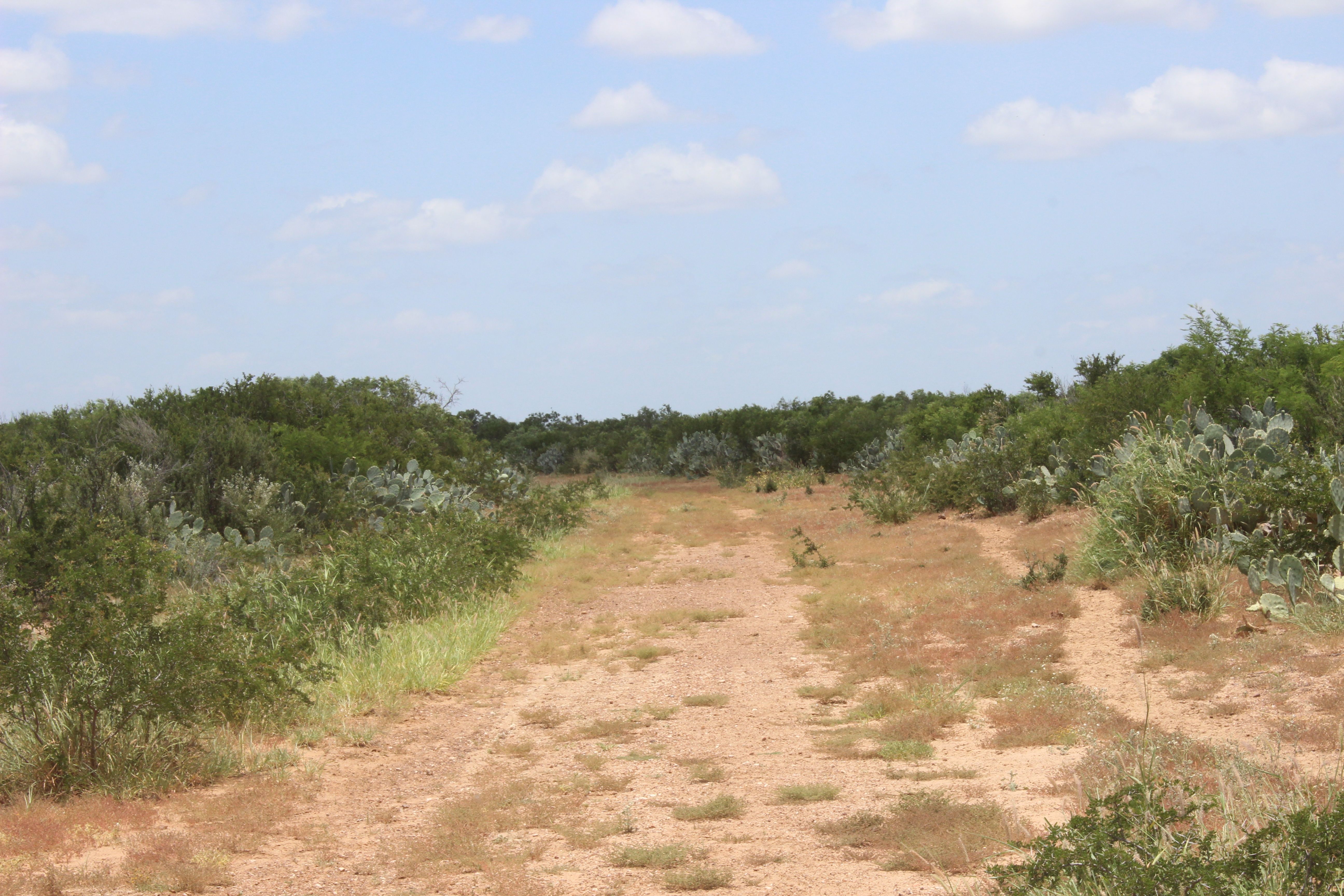  644+/- Acre Asherton Vista - 物件實景