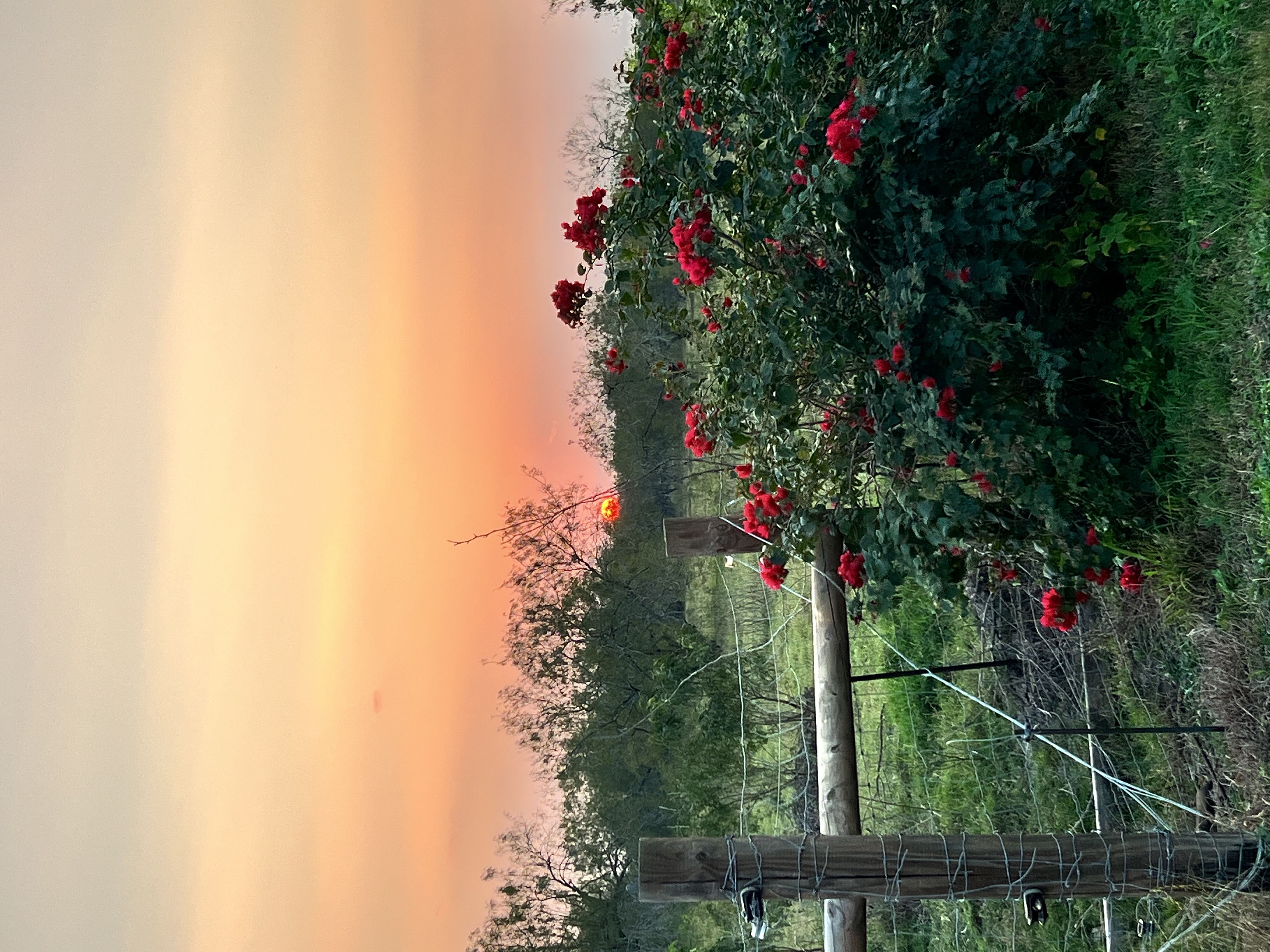 La Feria, Texas, 78559, United States, 3 Bedrooms Bedrooms, ,3 BathroomsBathrooms,Residential,For Sale,1890902