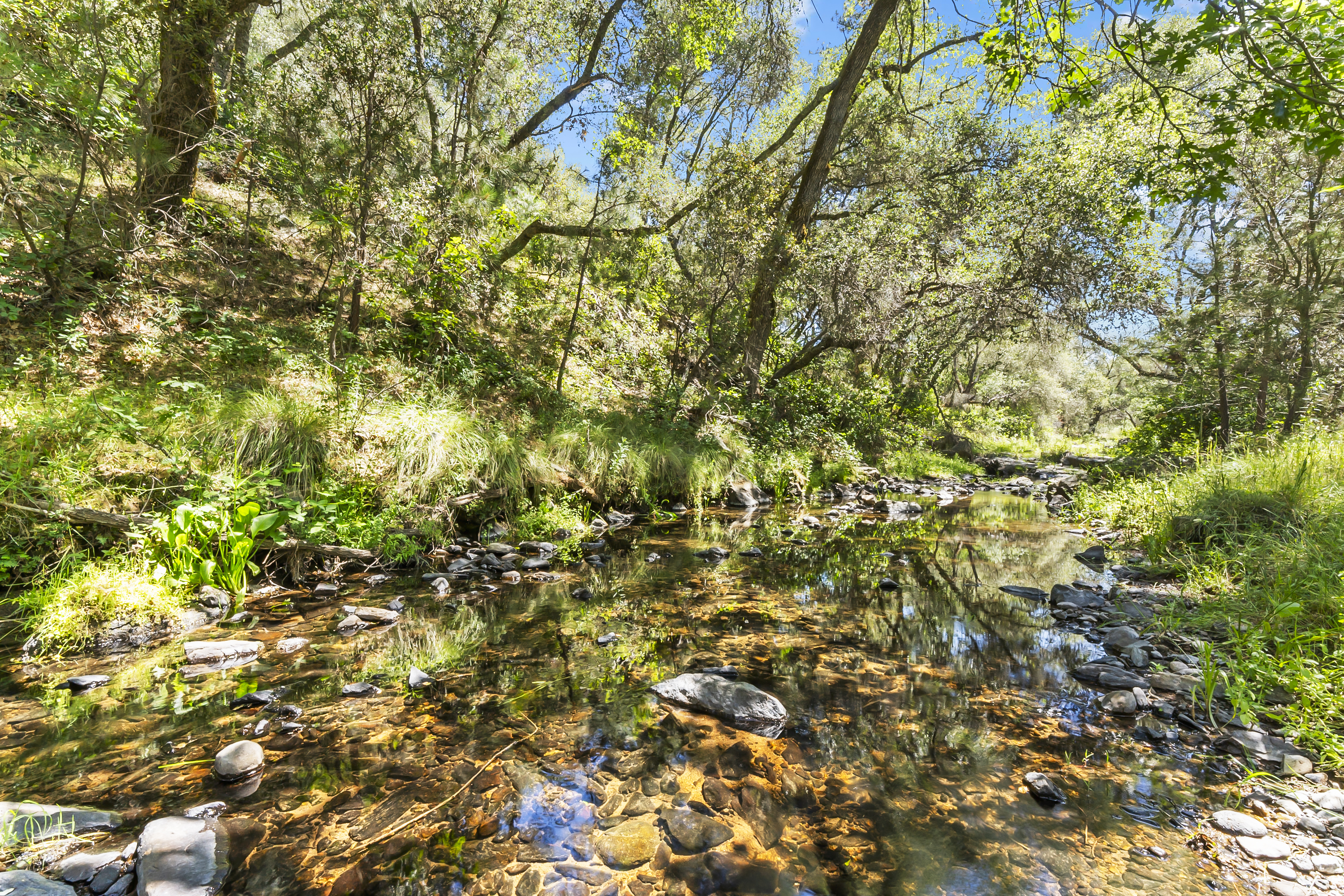  Amoruso Ranch 1000+ Acres Legacy - 物件實景