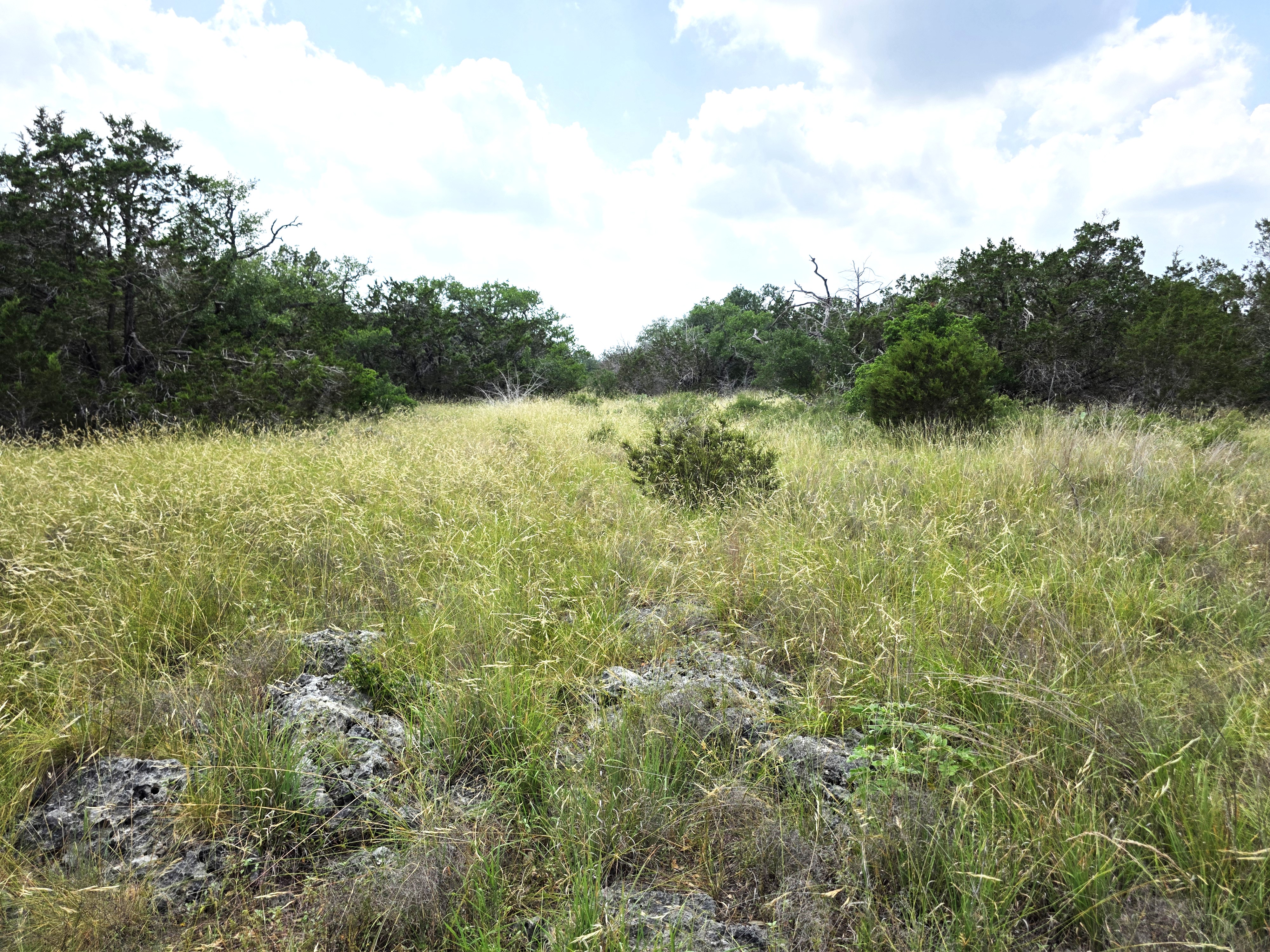 San Marcos, Texas, 78666, United States, ,Land,For Sale,1976108