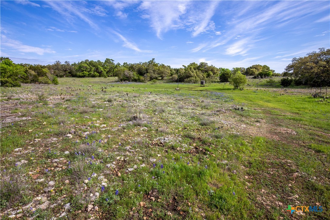San Marcos, Texas, 78666, United States, ,Land,For Sale,1990898