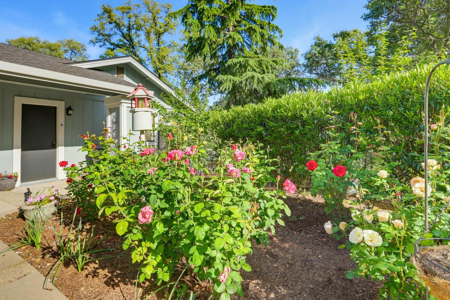 Auburn, California, 95602, United States, 3 Bedrooms Bedrooms, ,4 BathroomsBathrooms,Residential,For Sale,2020675