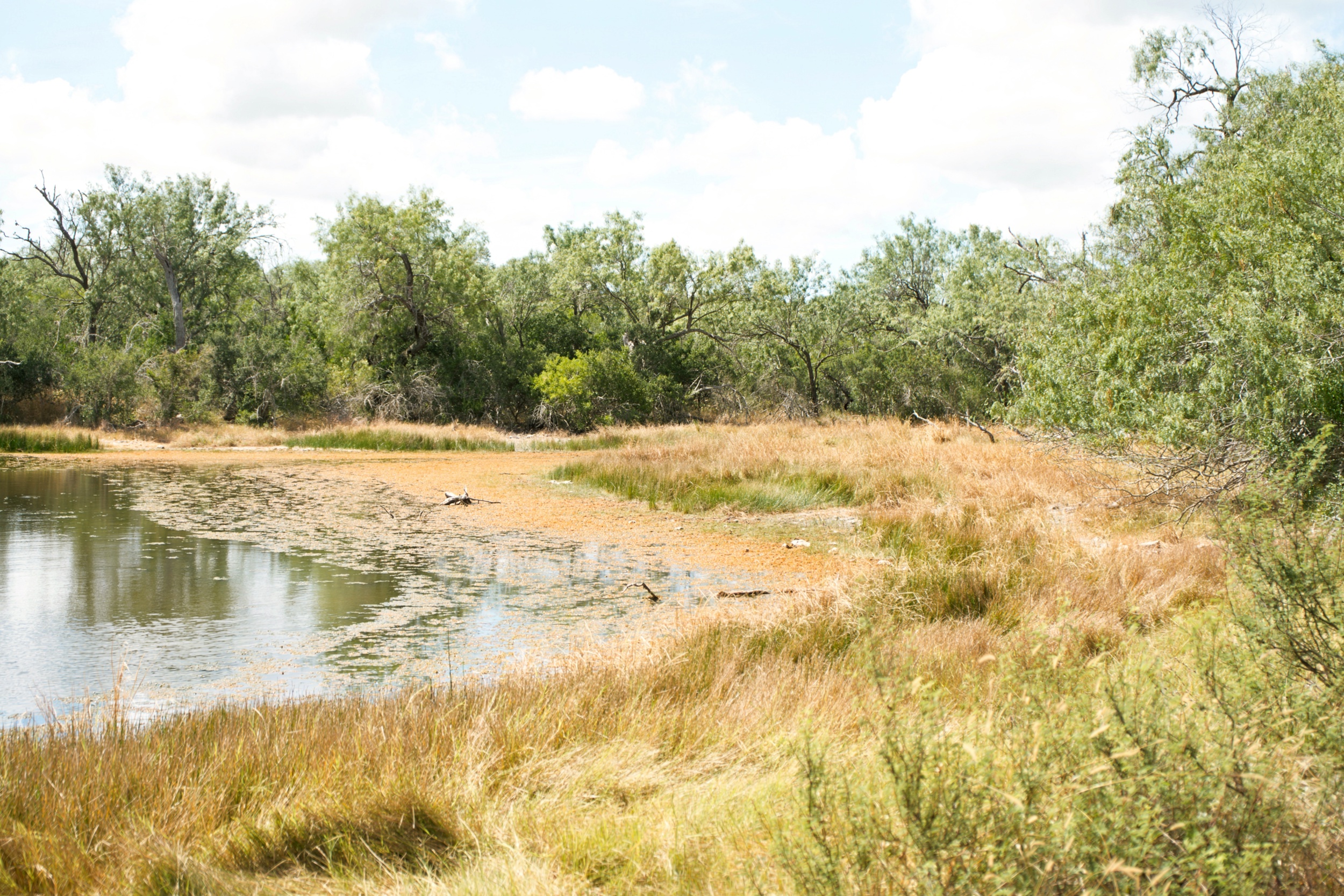  1234.89 +/- Acres, Santa Clara Ranch, Atascosa County, Falls City, TX 78113 - 物件實景