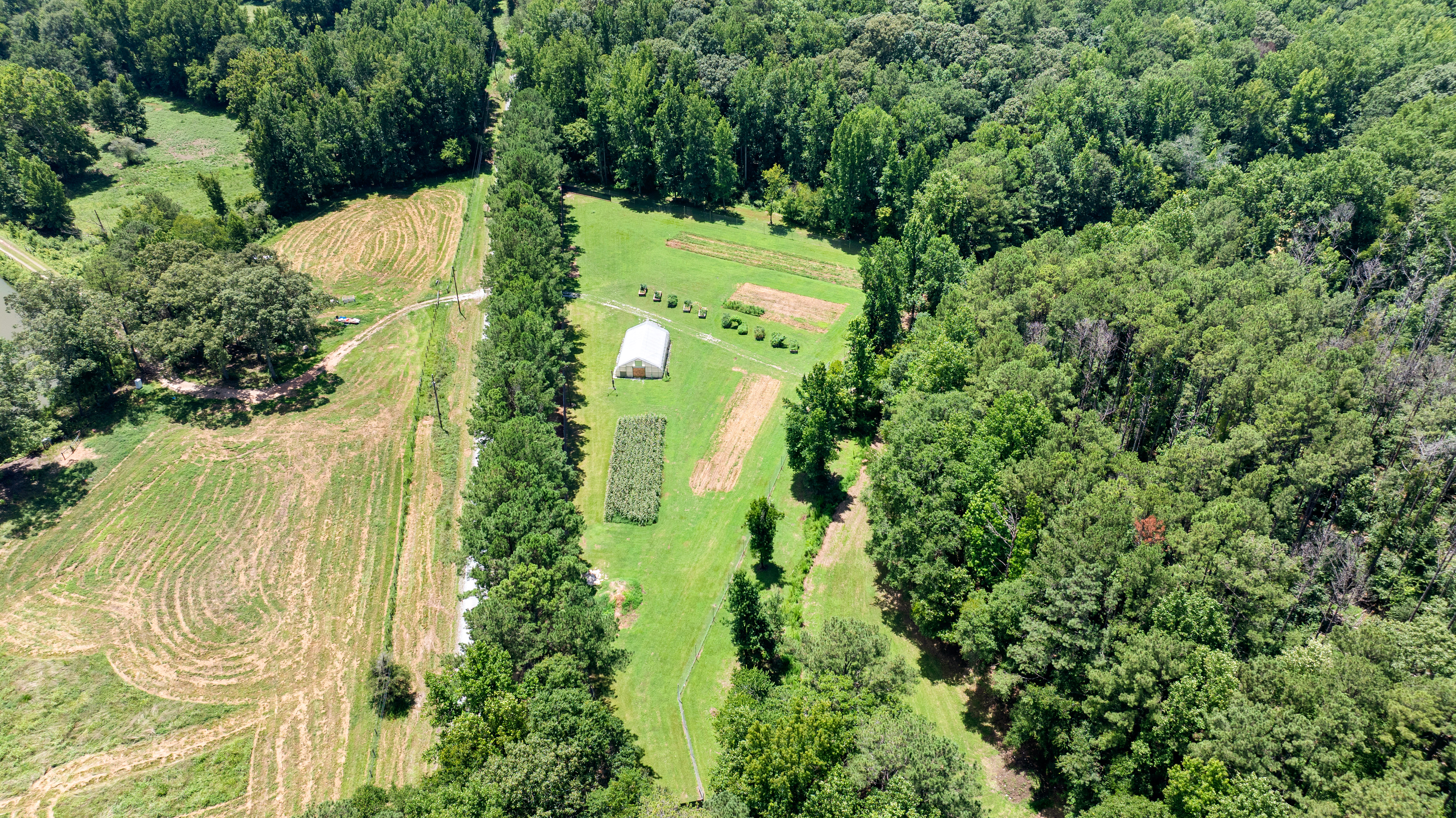  52 +/- Acres of Working Land and Quiet Woods - 物件實景