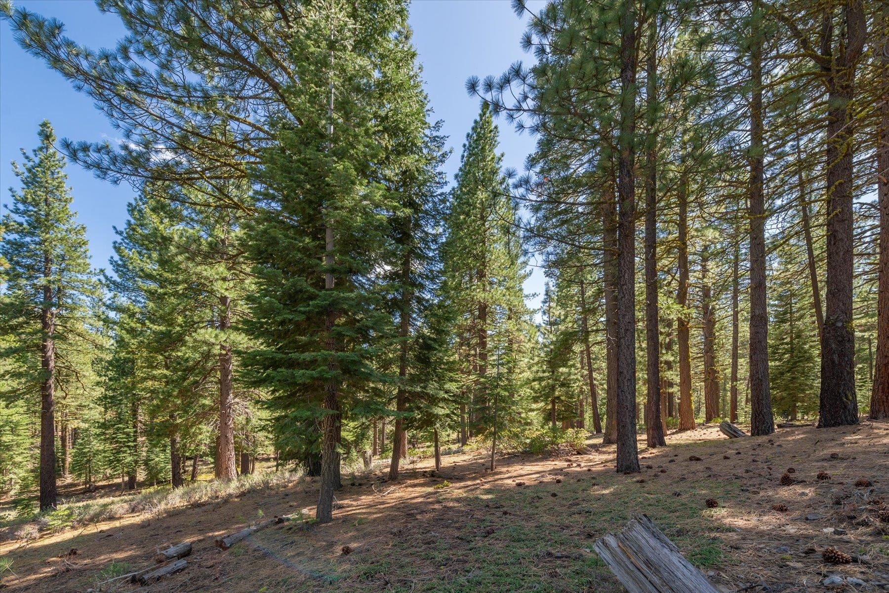 Truckee, California, 96161, United States, ,Land,For Sale,1828145