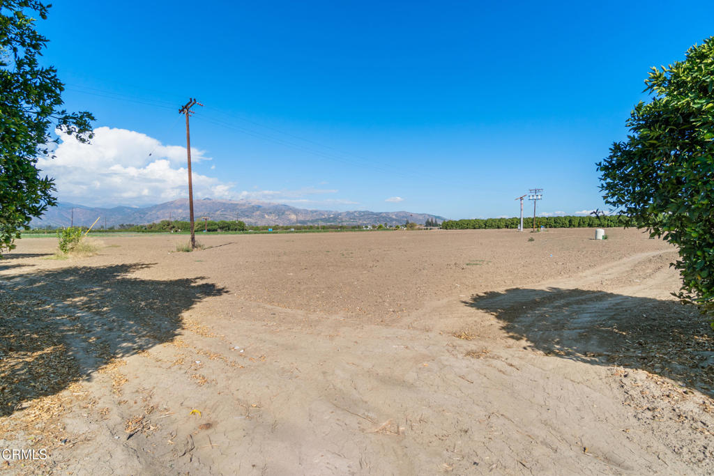 Fillmore, California, 93015, United States, ,Land,For Sale,1976940