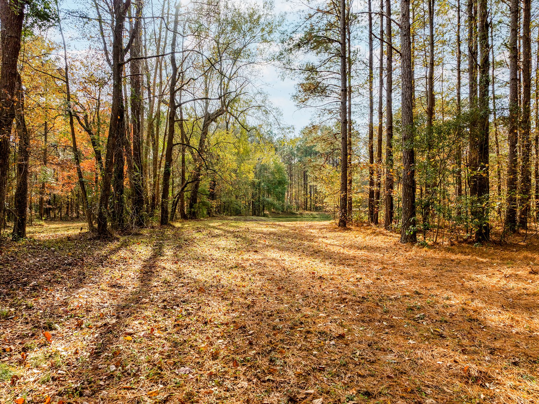  111 Loblolly Court, Wallace, NC 28466 - 物件實景
