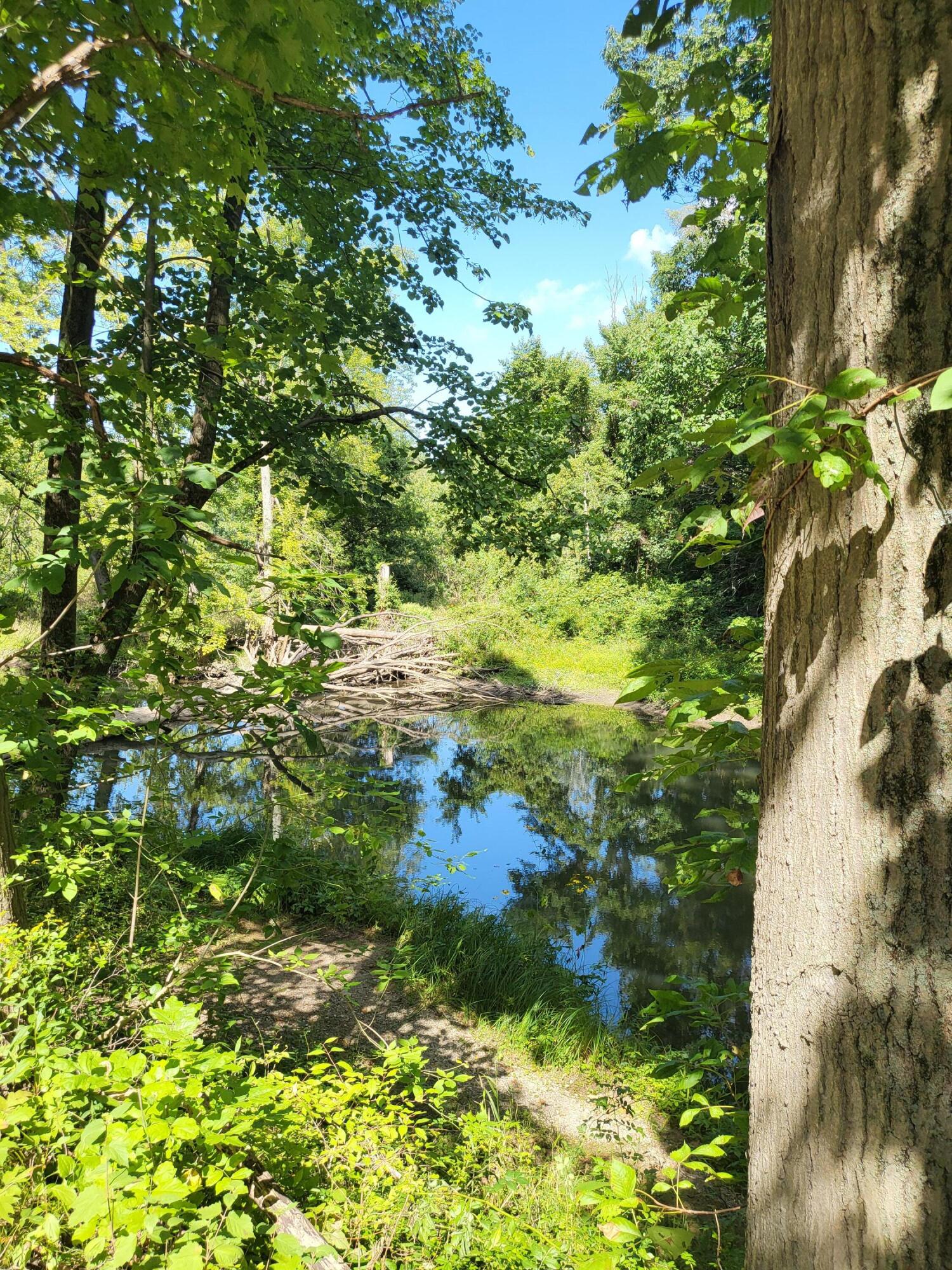 Union Pier, Michigan, 49129, United States, ,Land,For Sale,1988293