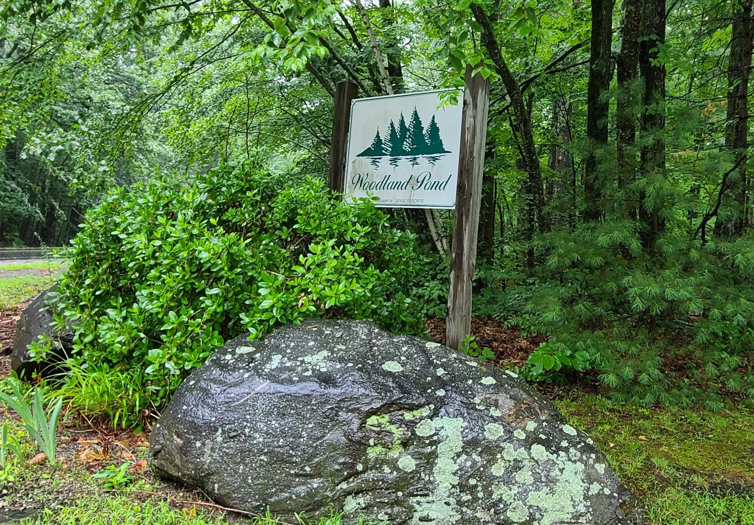 46 Harper Ridge Road, Hampstead, NH 03826 - 物件實景