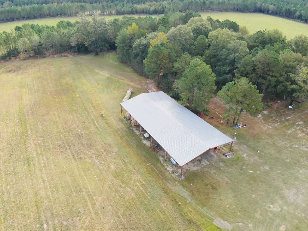 Abbeville, Georgia, 31001, United States, ,Land,For Sale,1975130