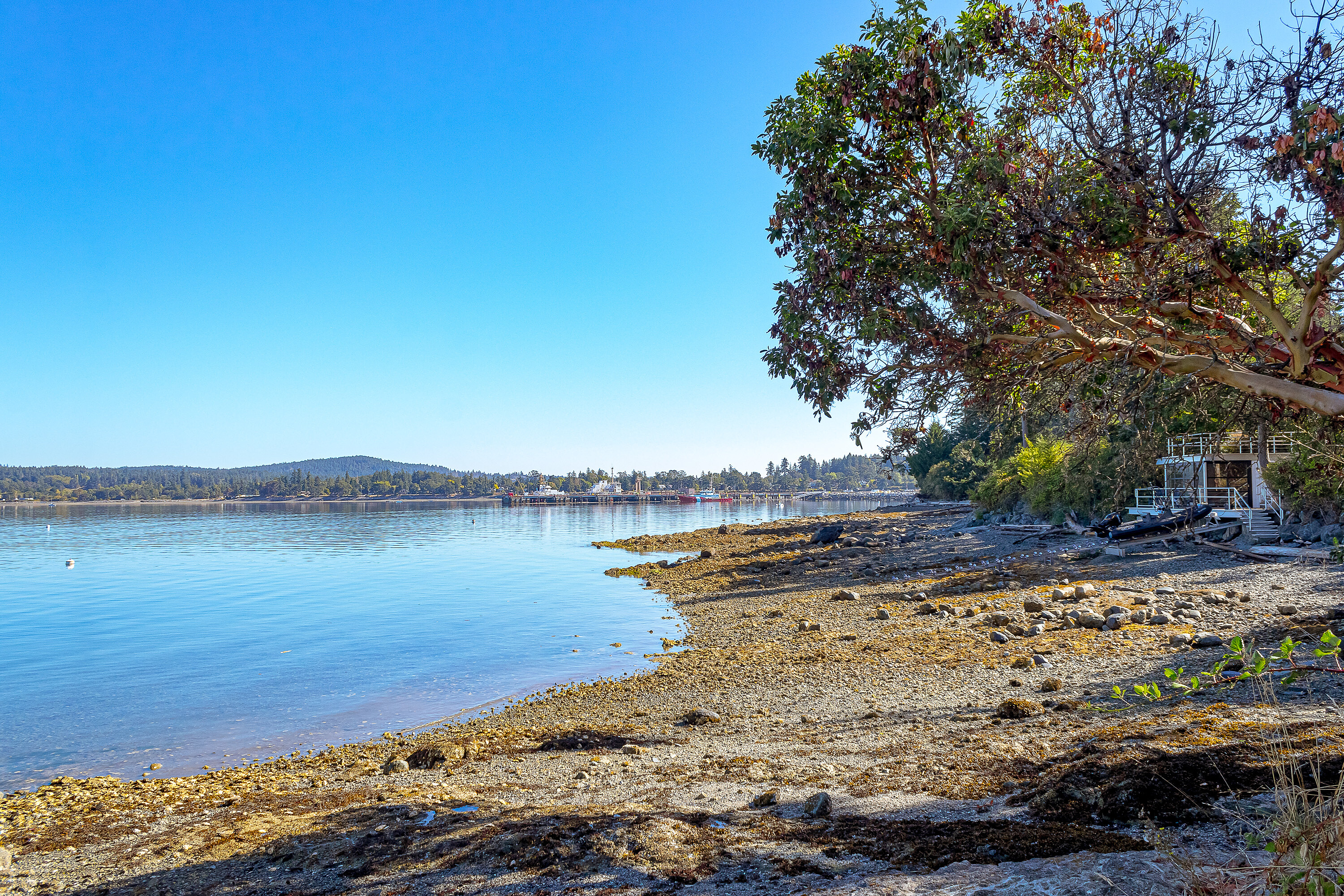  Prime Waterfront Home - 物件實景