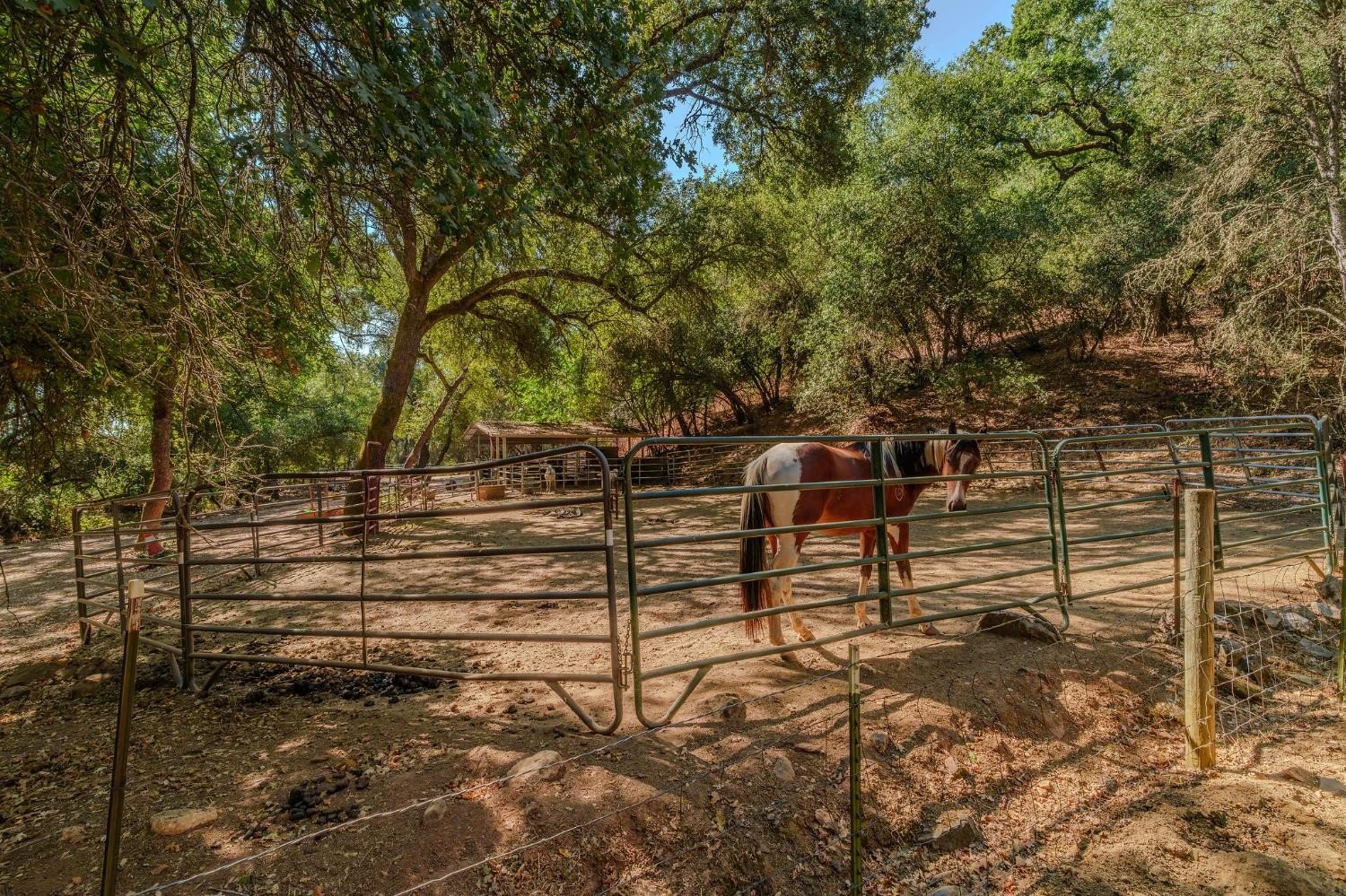 San Andreas, California, 95249, United States, 2 Bedrooms Bedrooms, ,2 BathroomsBathrooms,Residential,For Sale,1980033