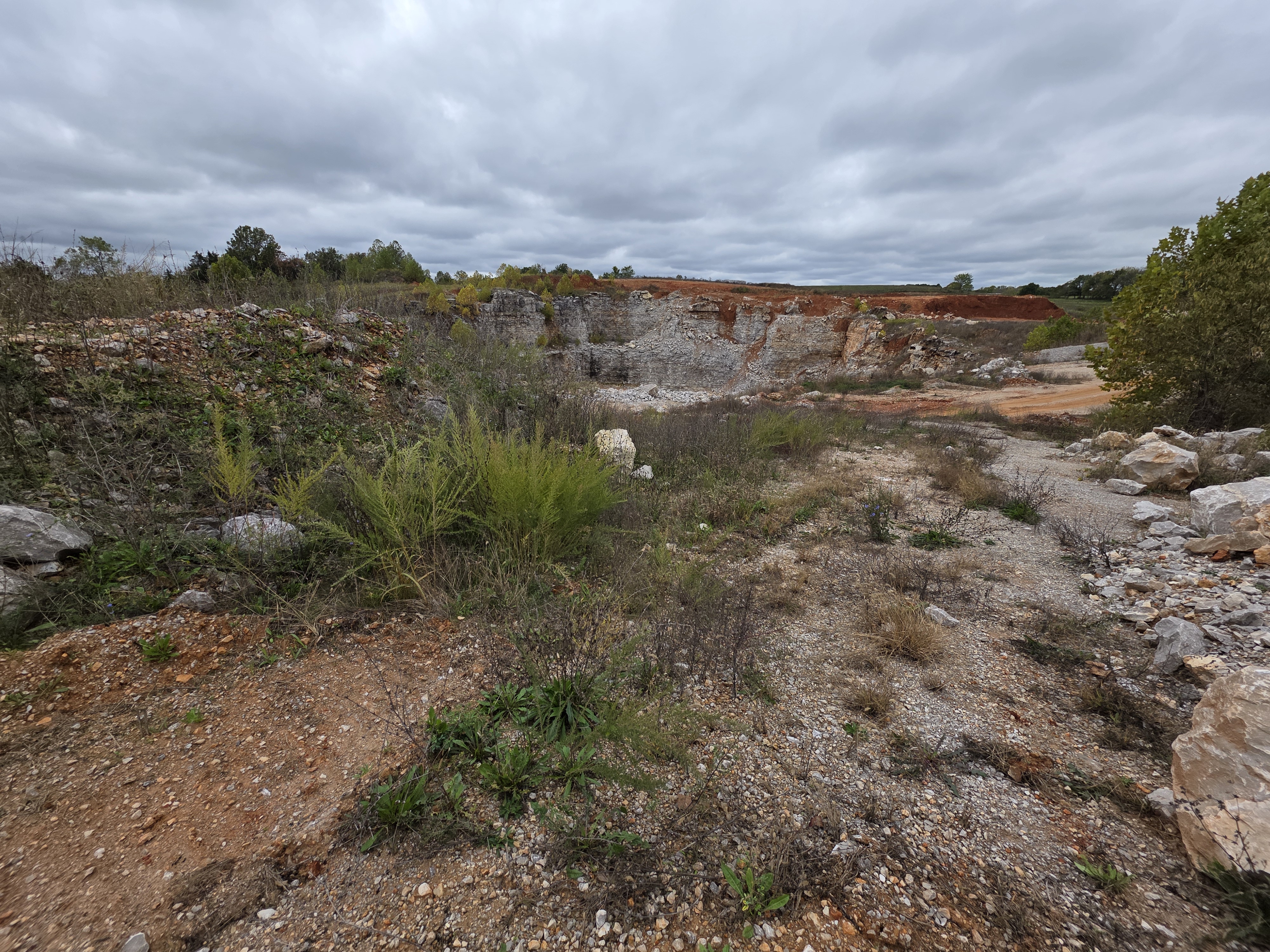 Pierce City, Missouri, 65723, United States, 2 Bedrooms Bedrooms, ,2 BathroomsBathrooms,Residential,For Sale,1987385