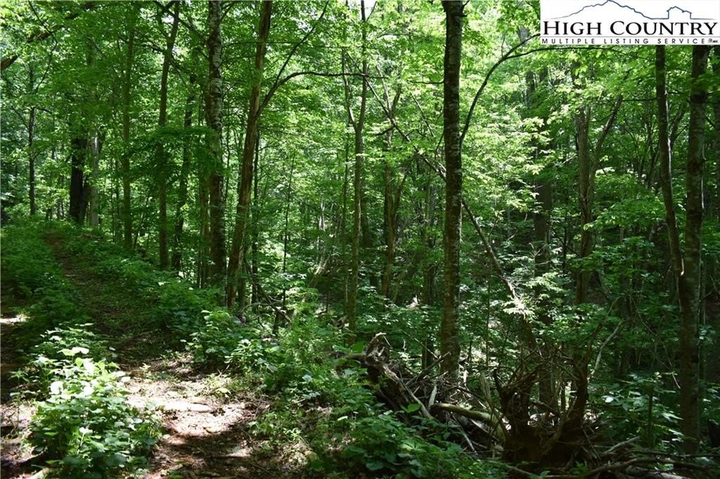 Warrensville, North Carolina, 28693, United States, ,Land,For Sale,1984173