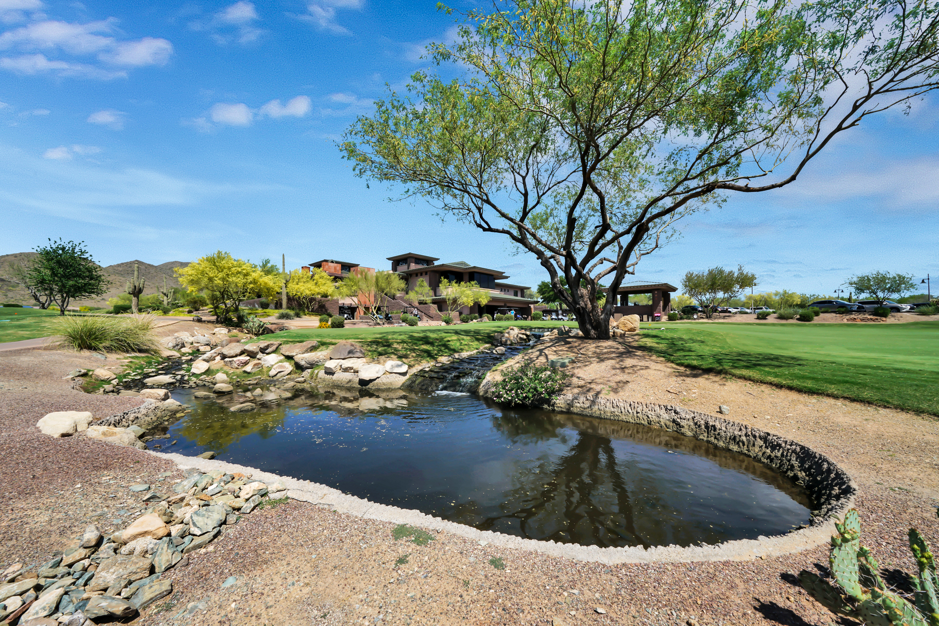  42408 N Astoria Way ¦Anthem, AZ - 物件實景