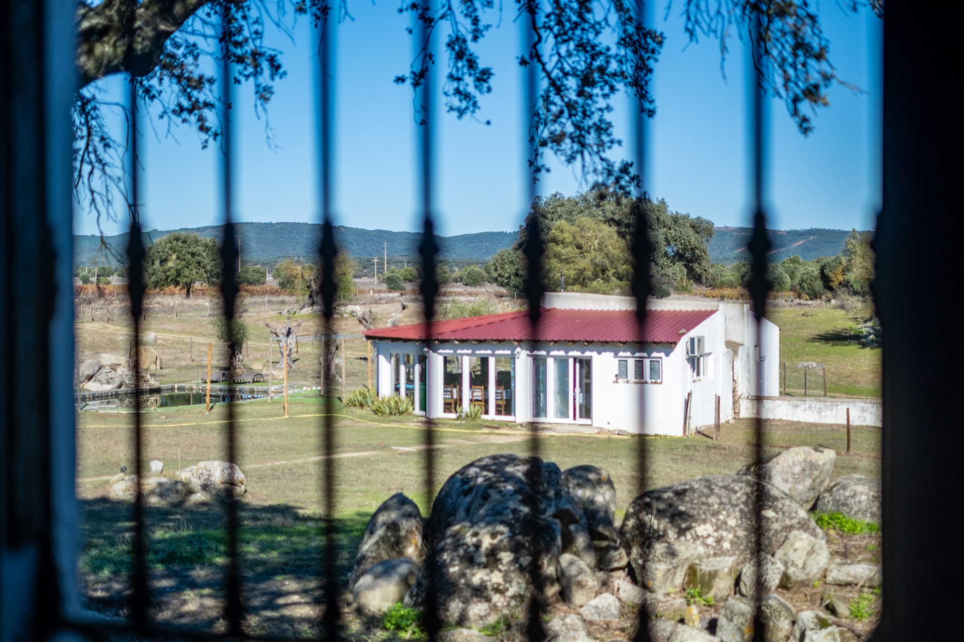  Country Estate, 21 bedrooms, for Sale - 物件實景