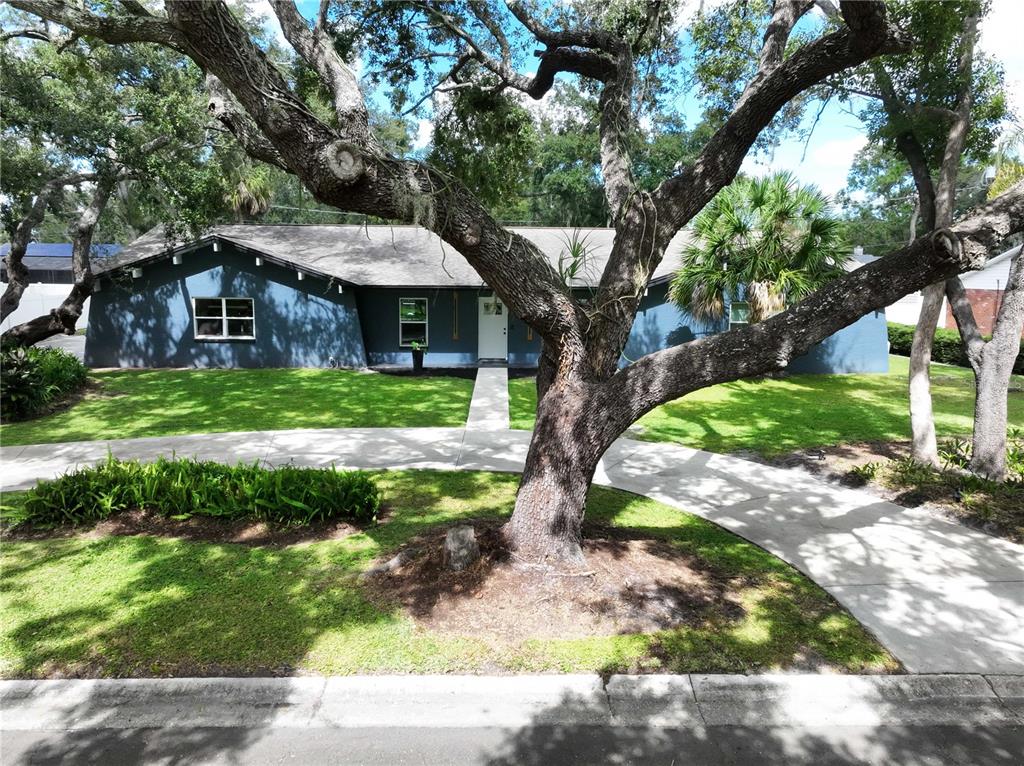Brandon, Florida, 33511, United States, 4 Bedrooms Bedrooms, ,2 BathroomsBathrooms,Residential,For Sale,1968846