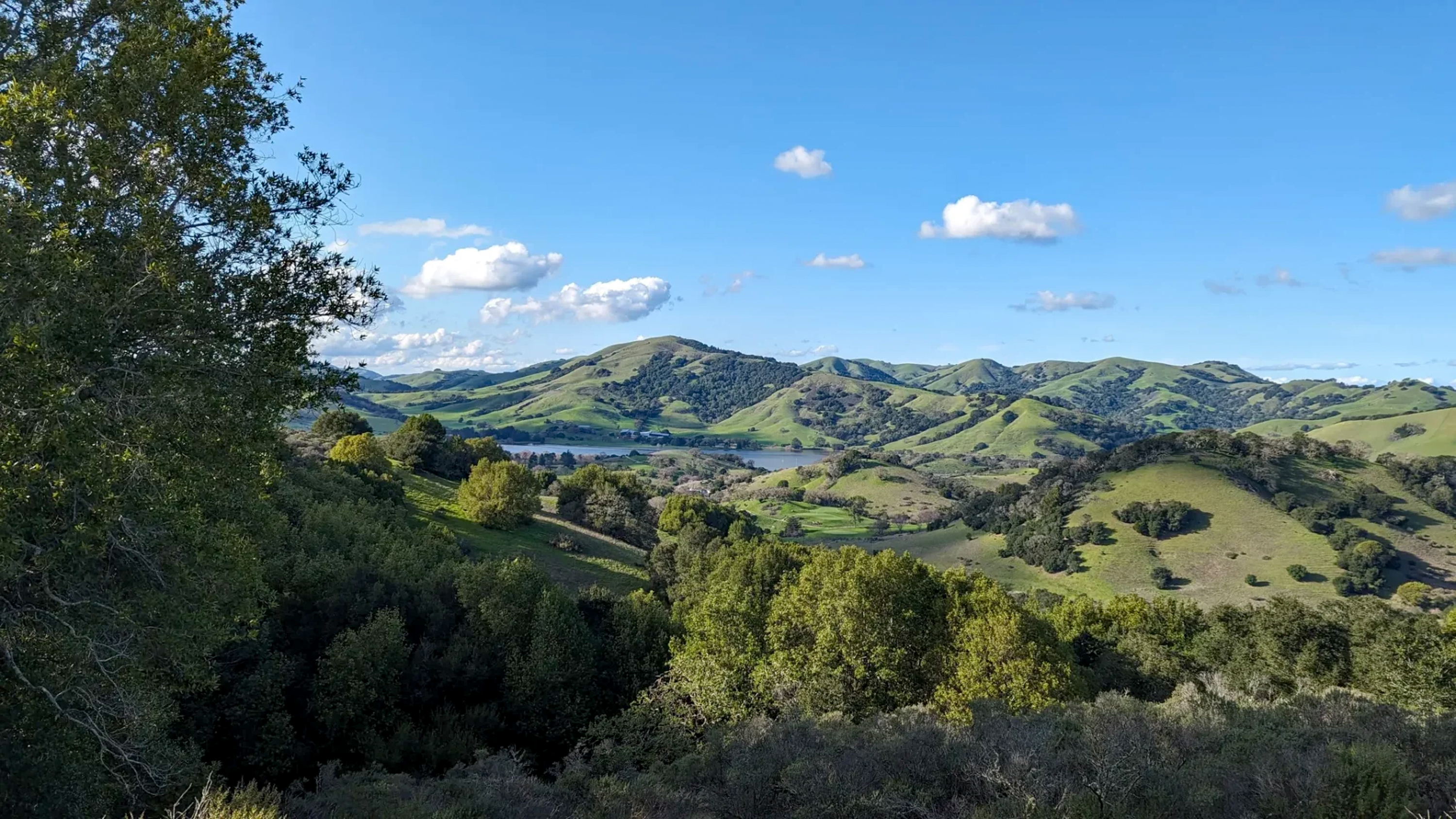  Expanded Single Story Home in Desirable Southern Novato - 物件實景