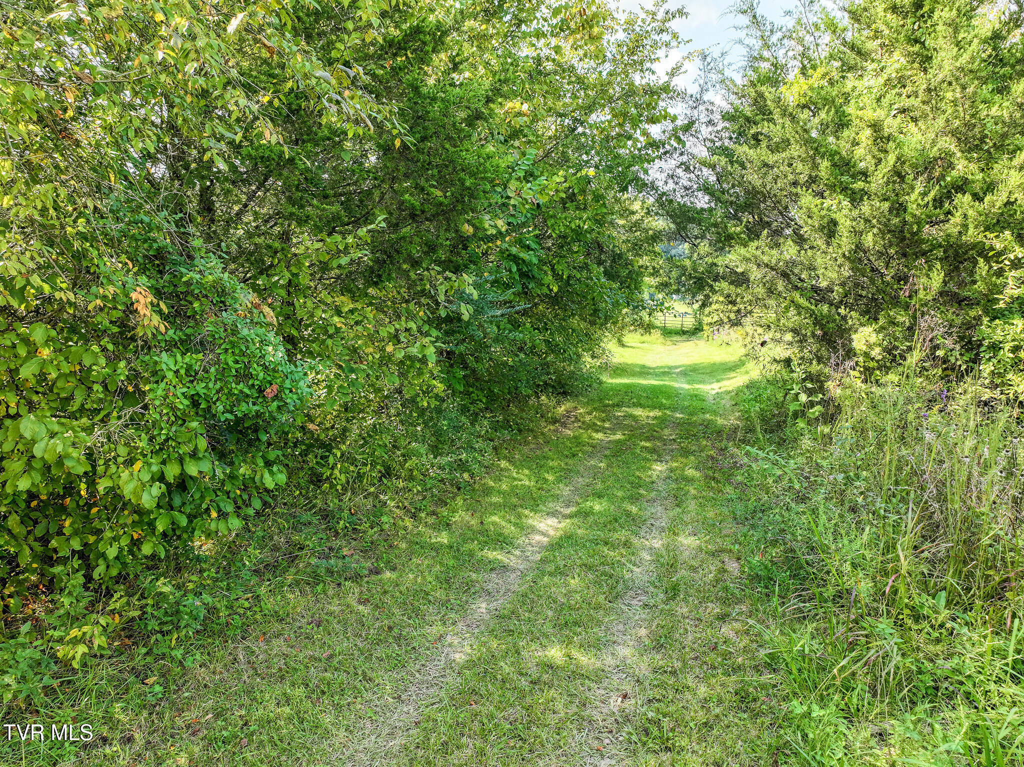 Greeneville, Tennessee, 37745, United States, 3 Bedrooms Bedrooms, ,3 BathroomsBathrooms,Residential,For Sale,2039547