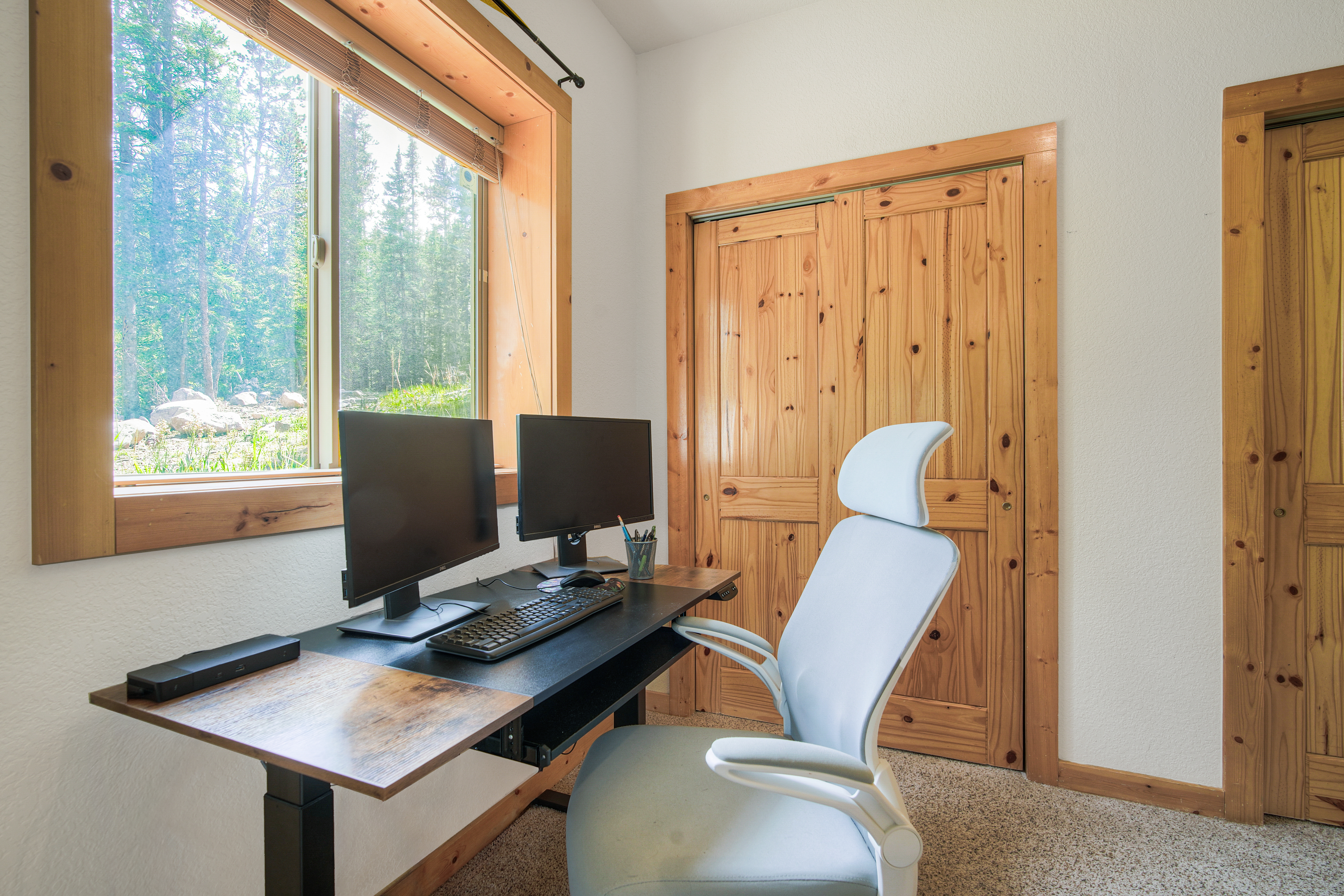  272 Porcupine Road, Fairplay, CO 80440 - 物件實景