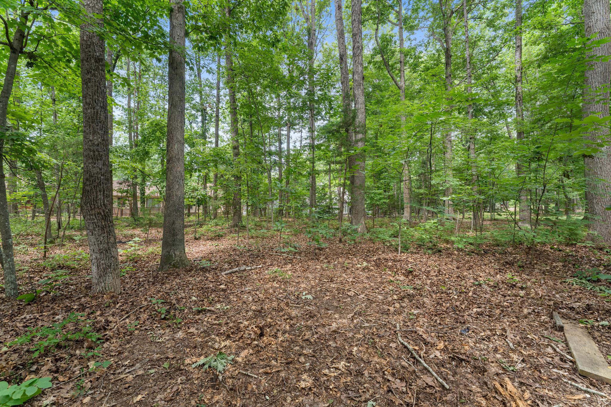  105 Tall Pines Avenue, Locust Grove, VA, 22508 - 物件實景
