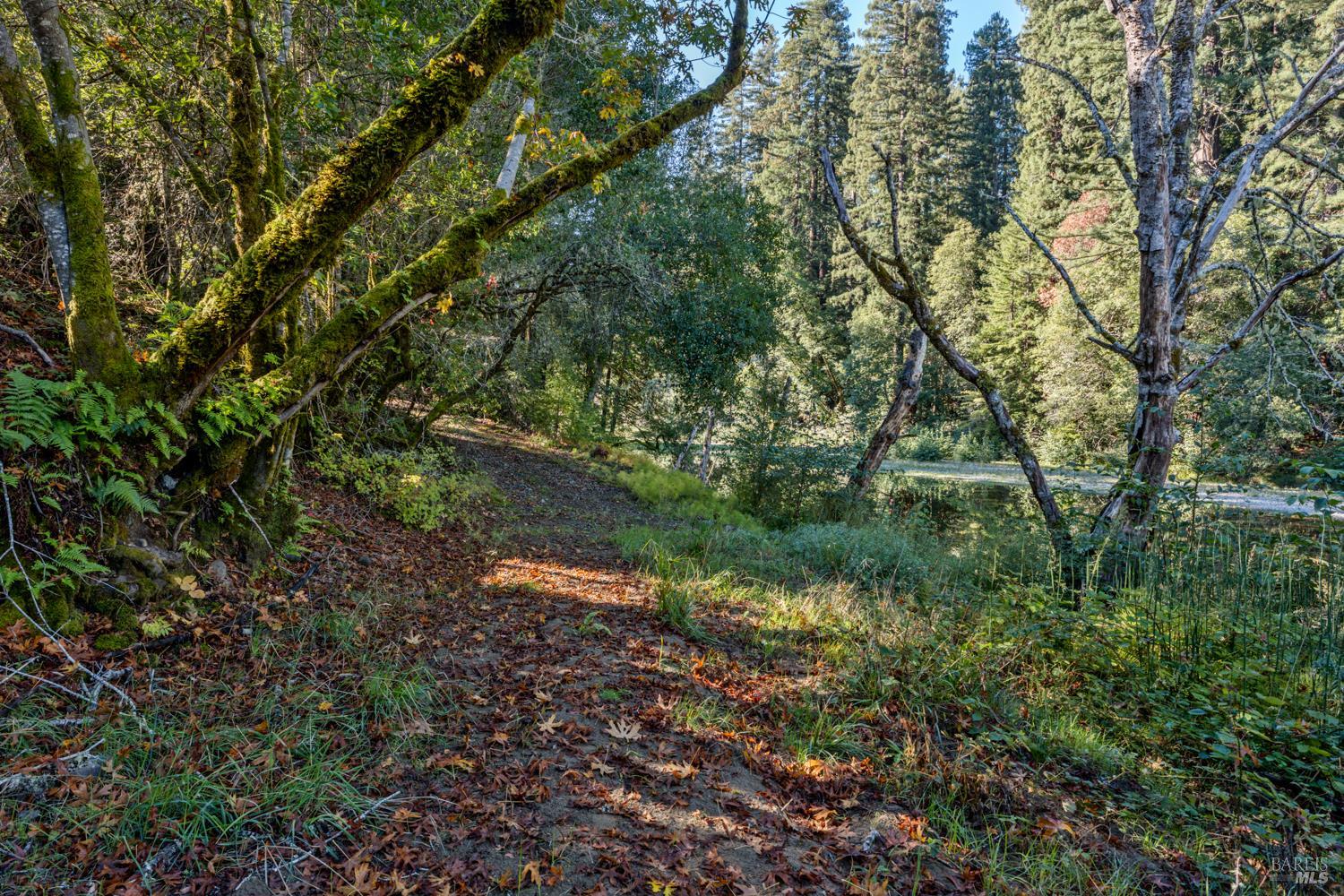 Philo, California, 95466, United States, 3 Bedrooms Bedrooms, ,3 BathroomsBathrooms,Residential,For Sale,1987364