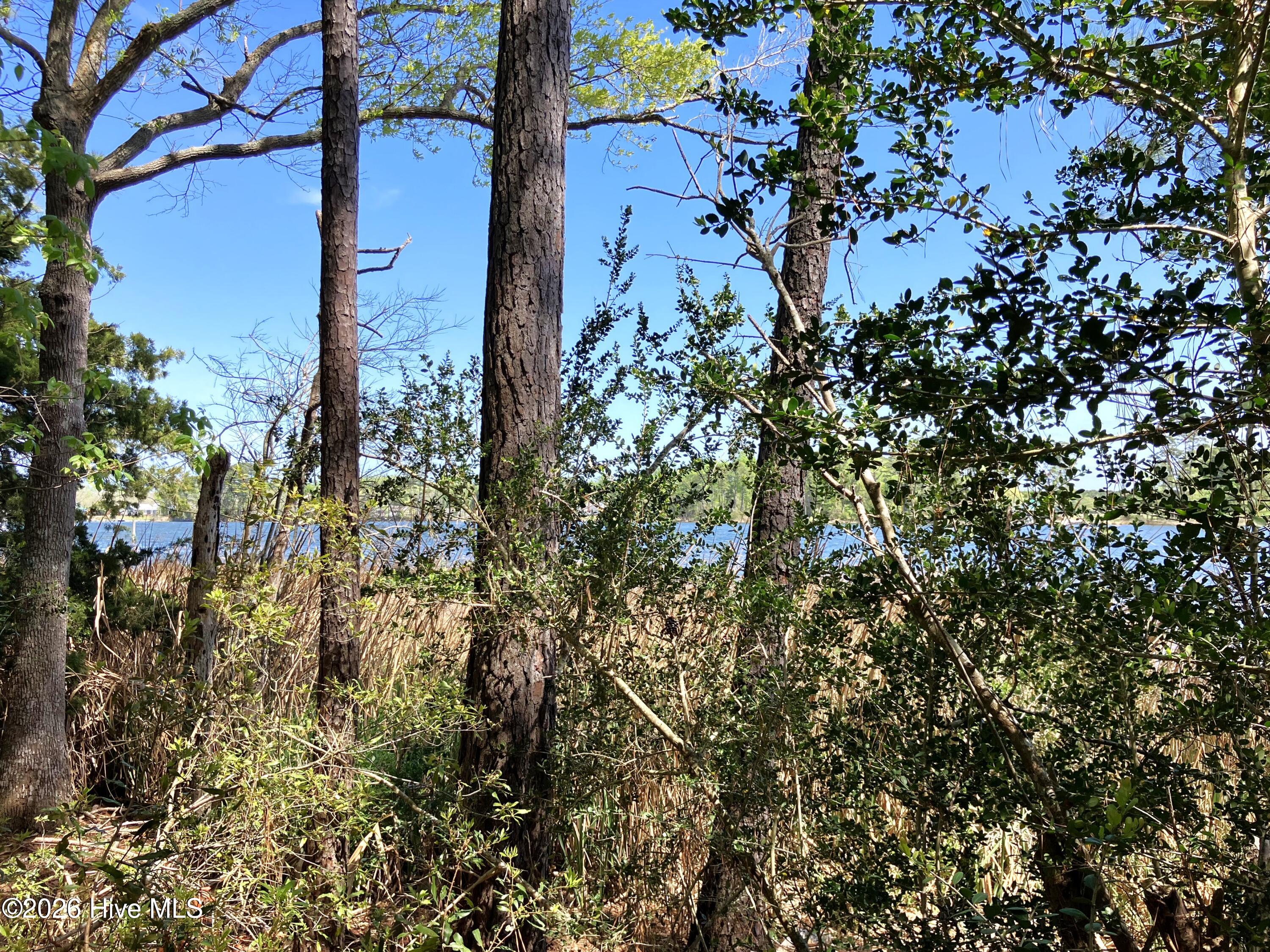 Havelock, North Carolina, 28532, United States, ,Land,For Sale,2035348