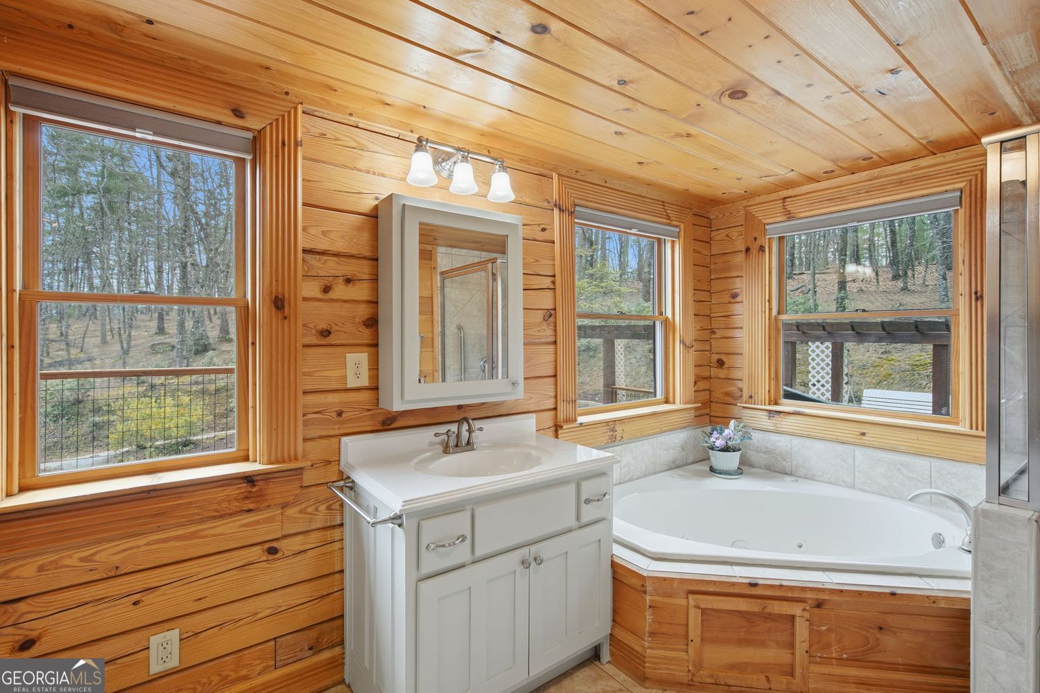 Ellijay, Georgia, 30536, United States, 2 Bedrooms Bedrooms, ,3 BathroomsBathrooms,Residential,For Sale,2035001