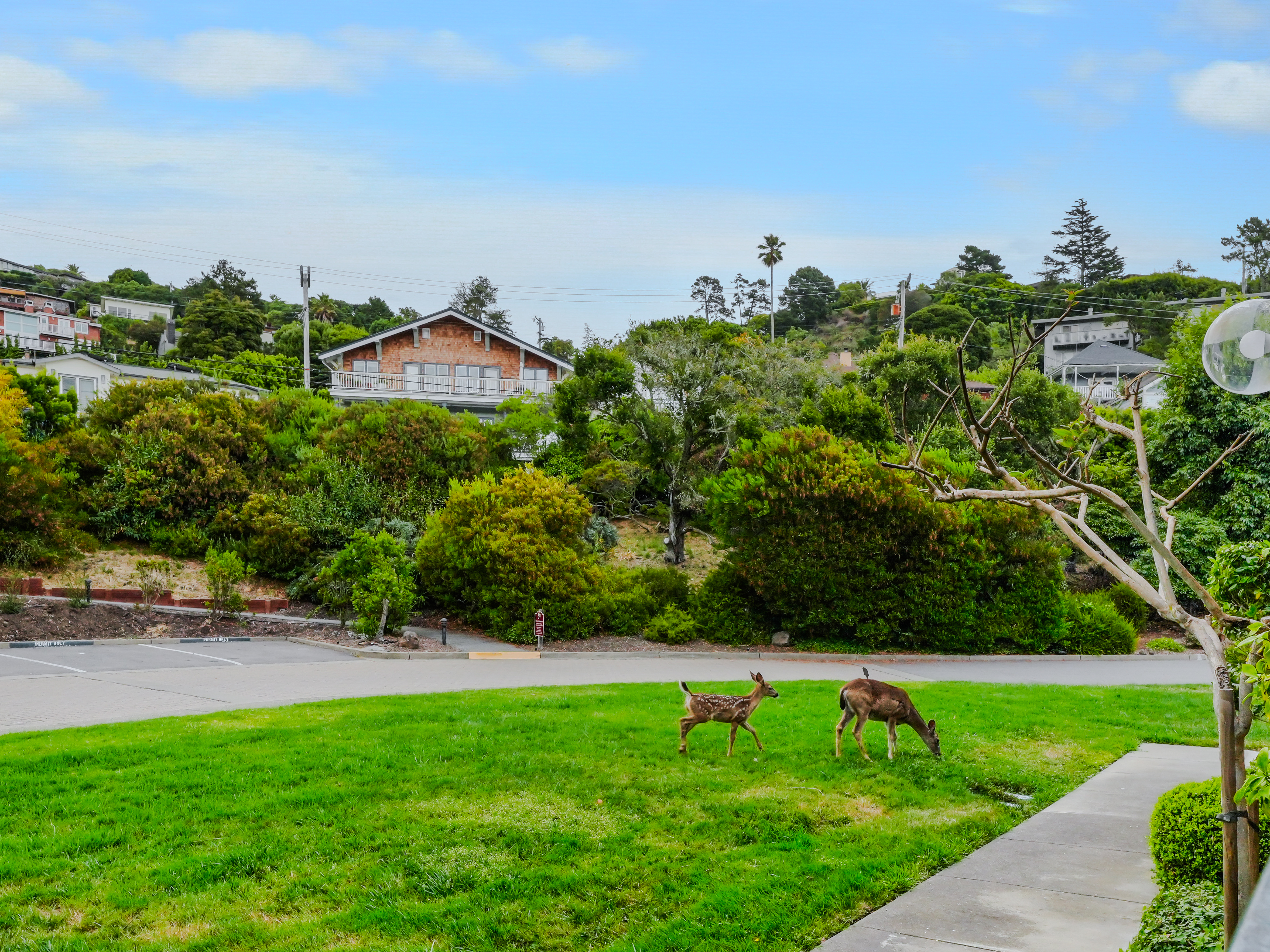  Point Tiburon Lagoon - 物件實景