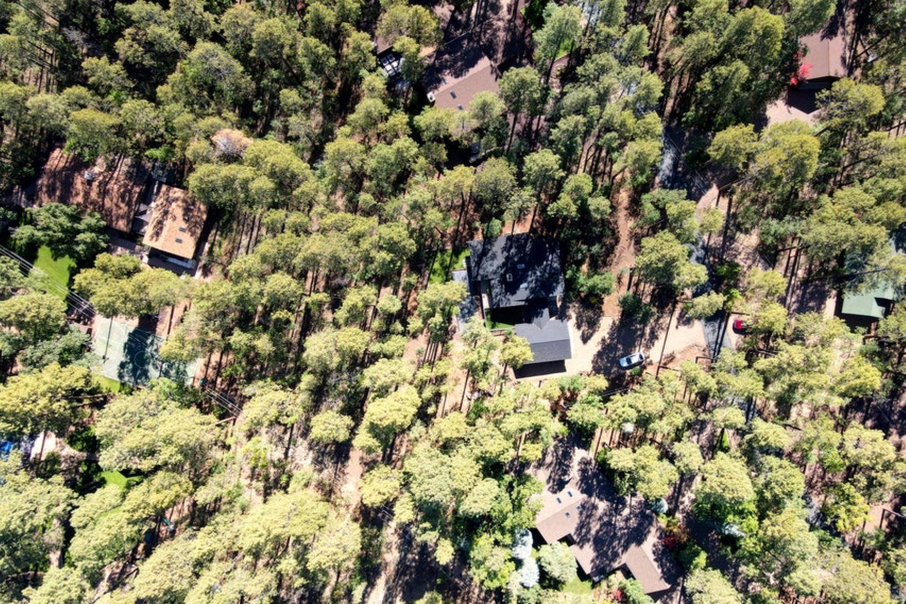  3680 Woodpecker Lane ¦ Pinetop, AZ - 物件實景