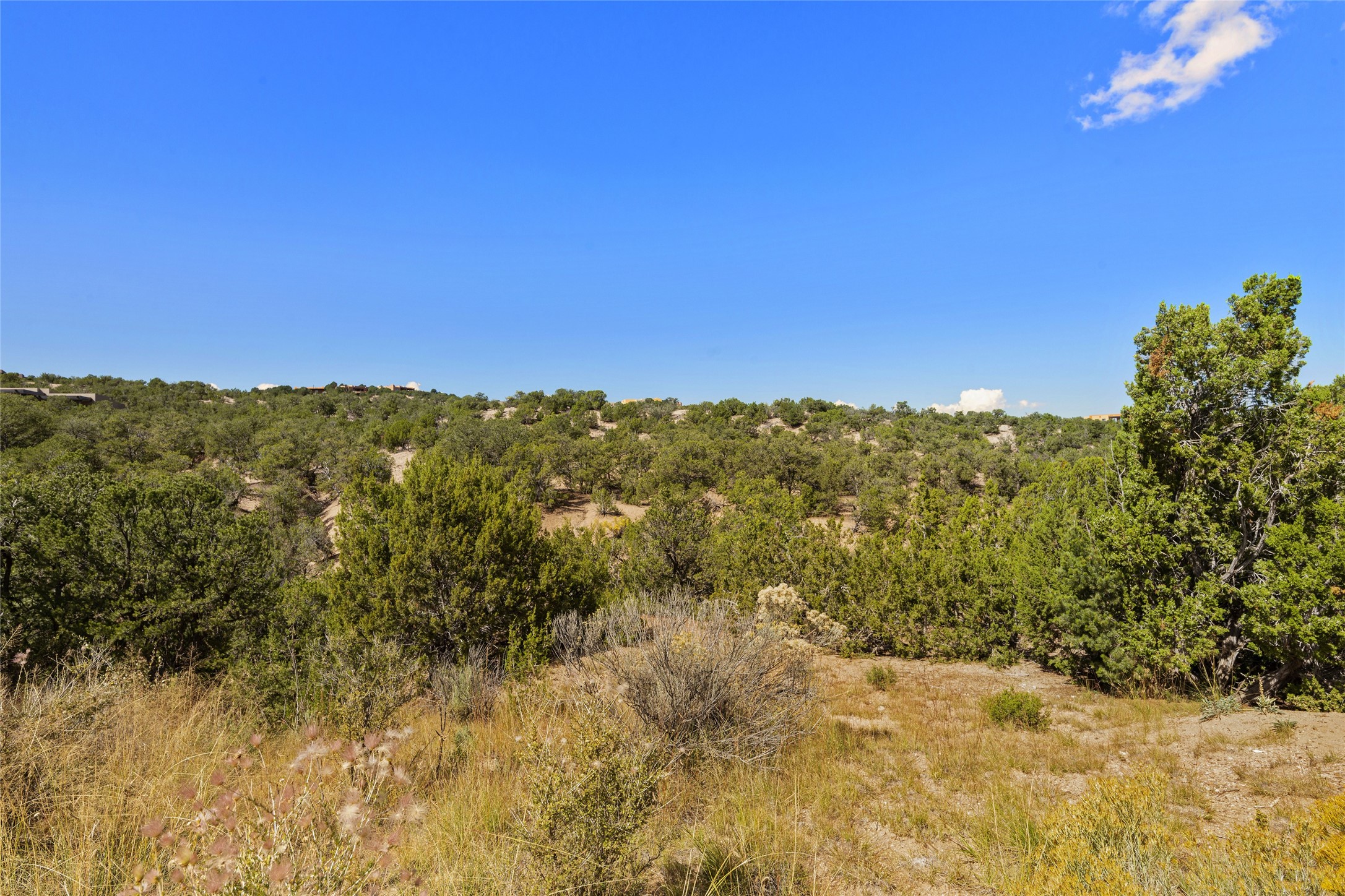  2901 Aspen View, Lot 185 - 物件實景