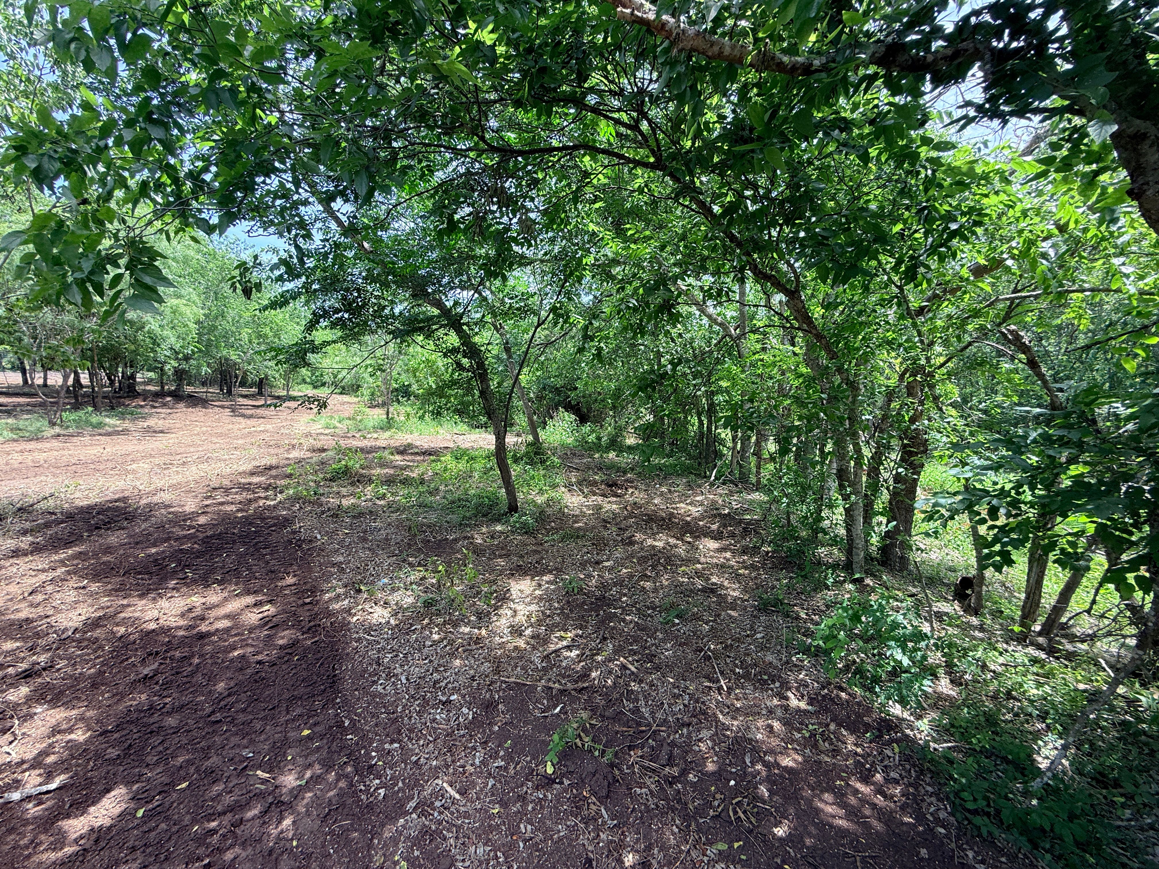  Secluded 1-acre Lot - 物件實景