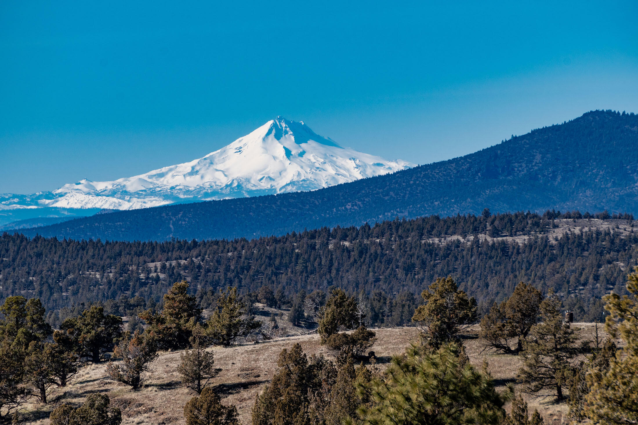 5896 Johnson Creek Road, Prineville, Oregon, 97754, United States, ,Land,For Sale,5896 Johnson Creek Road,1609135