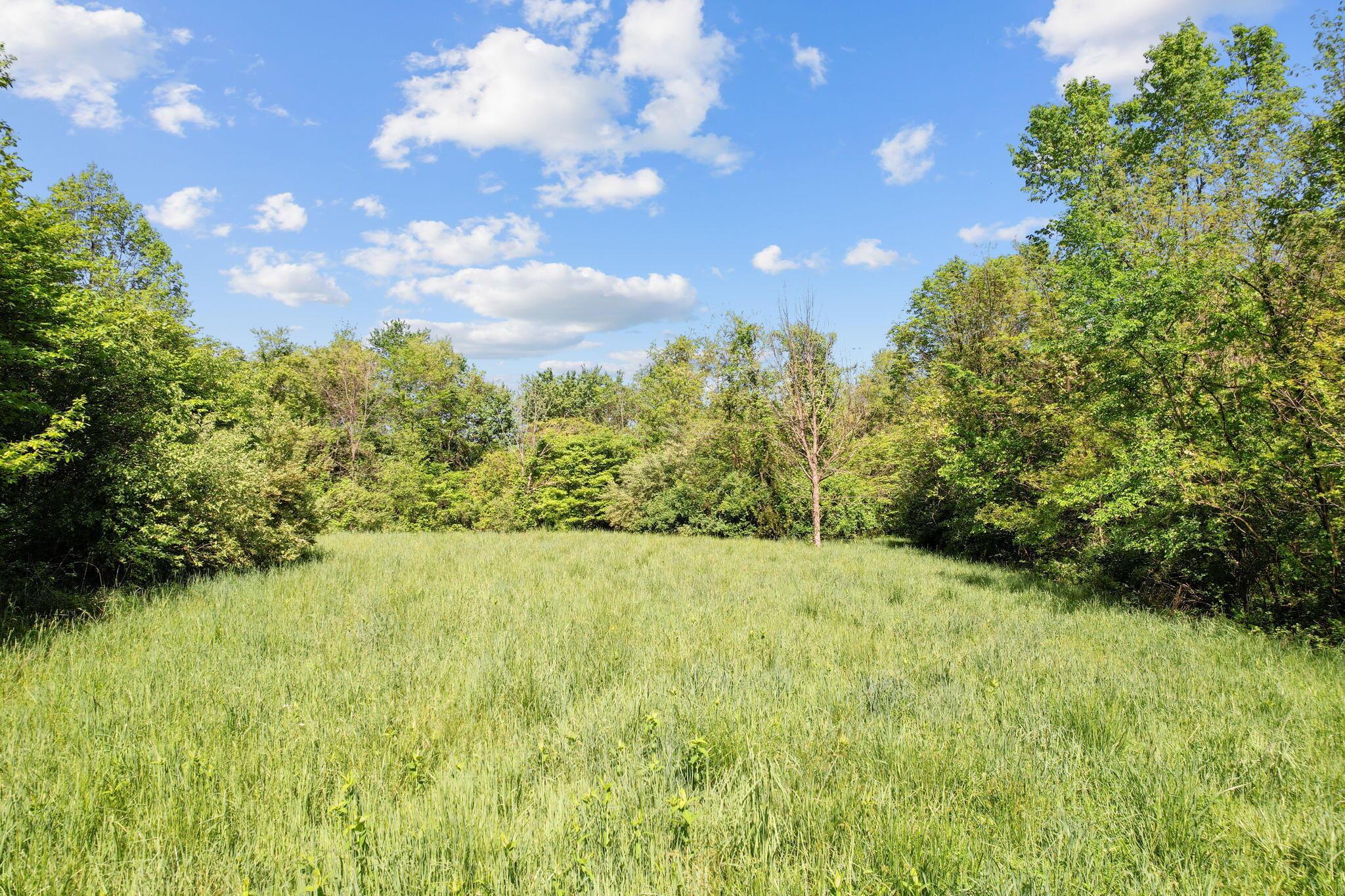 Saint Louisville, Ohio, 43071, United States, ,Land,For Sale,1981627