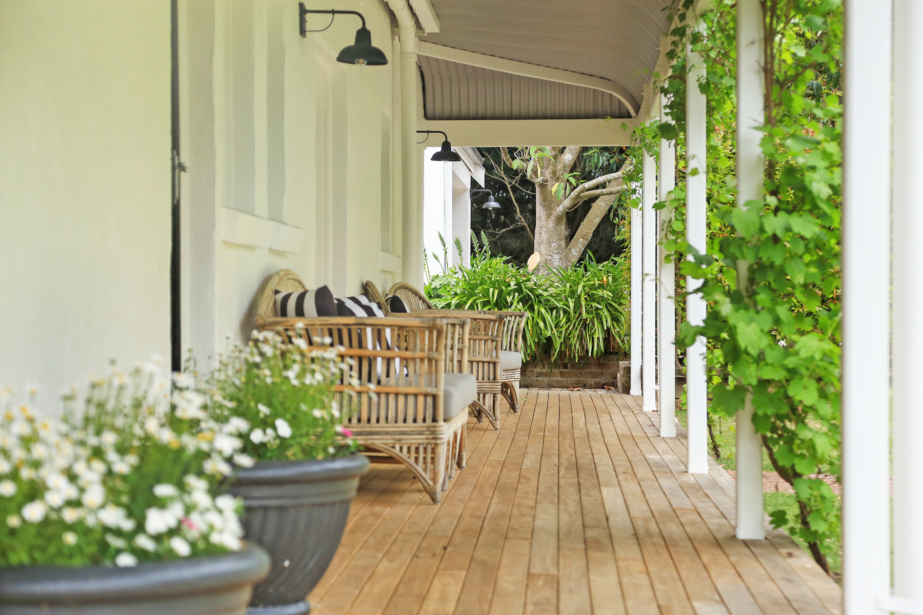  Fox Hill - 物件實景