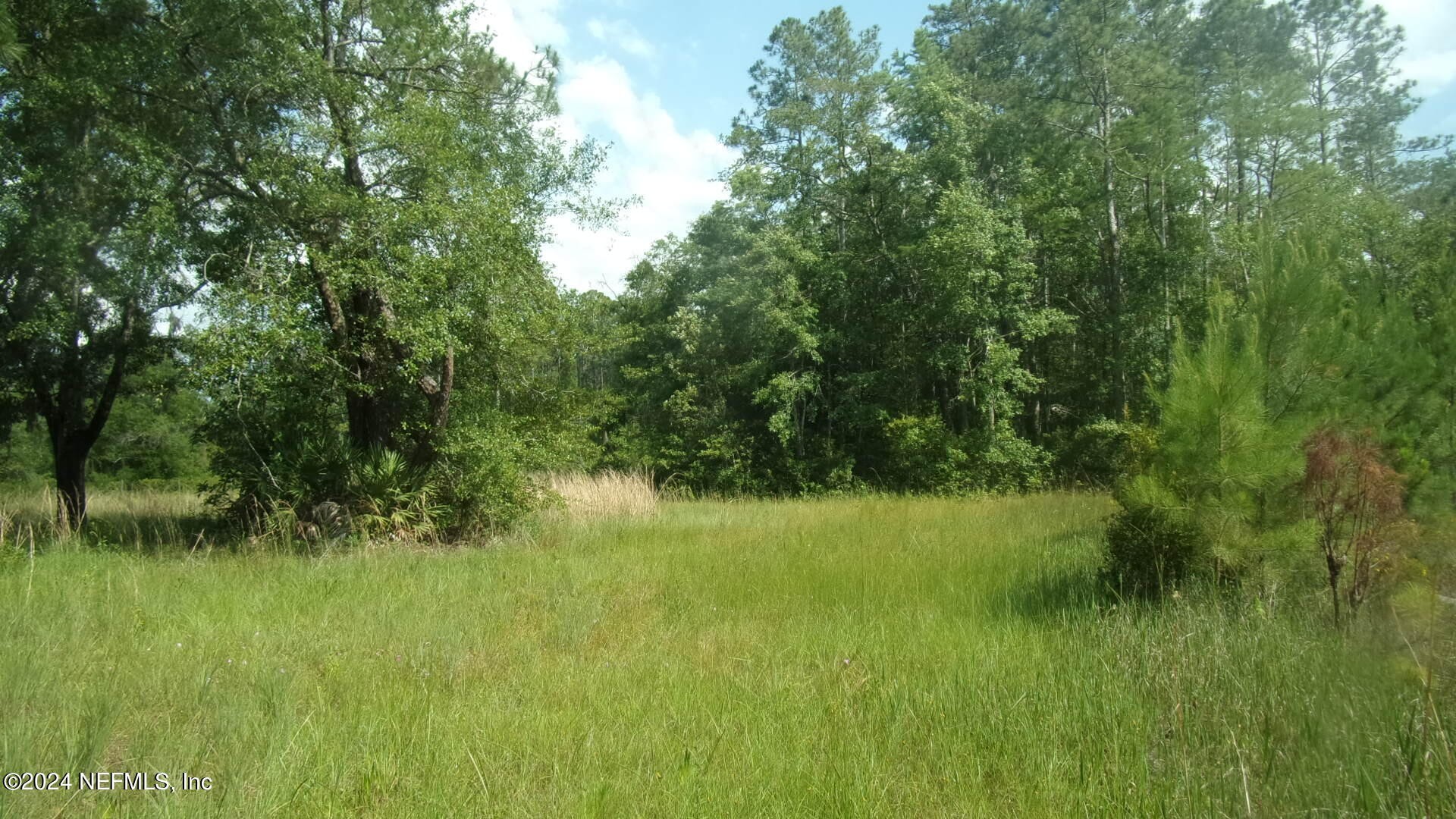 Palatka, Florida, 32177, United States, ,Residential,For Sale,1924559