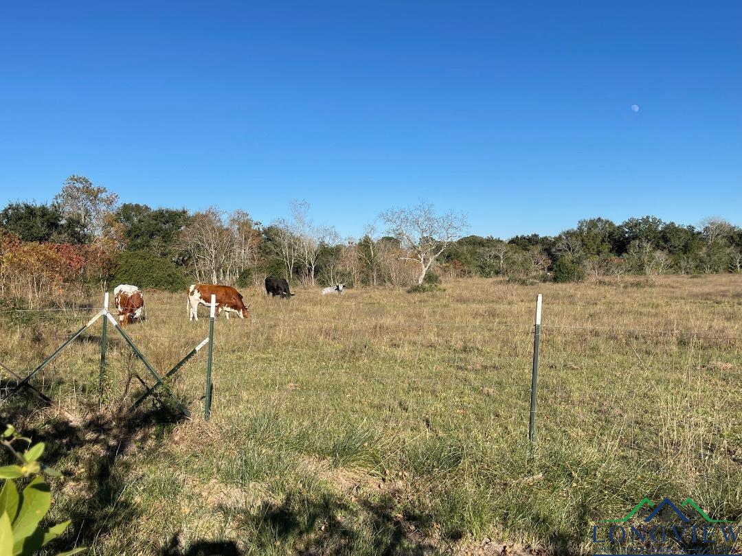 Out Of Area, Texas, 77578, United States, 3 Bedrooms Bedrooms, ,2 BathroomsBathrooms,Residential,For Sale,1910991