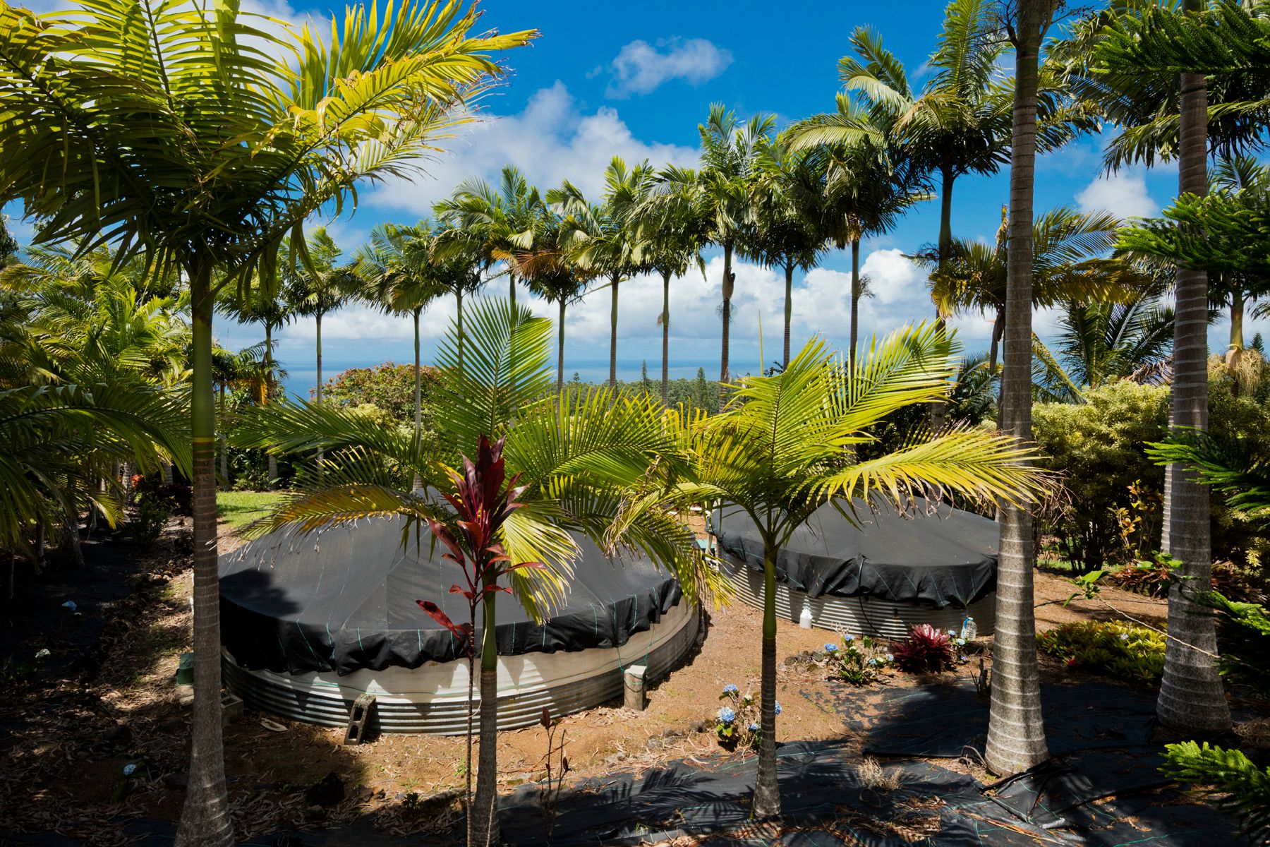  35-1655 Maulua Nui Rd, Papaaloa, HI, 96780 - 物件實景