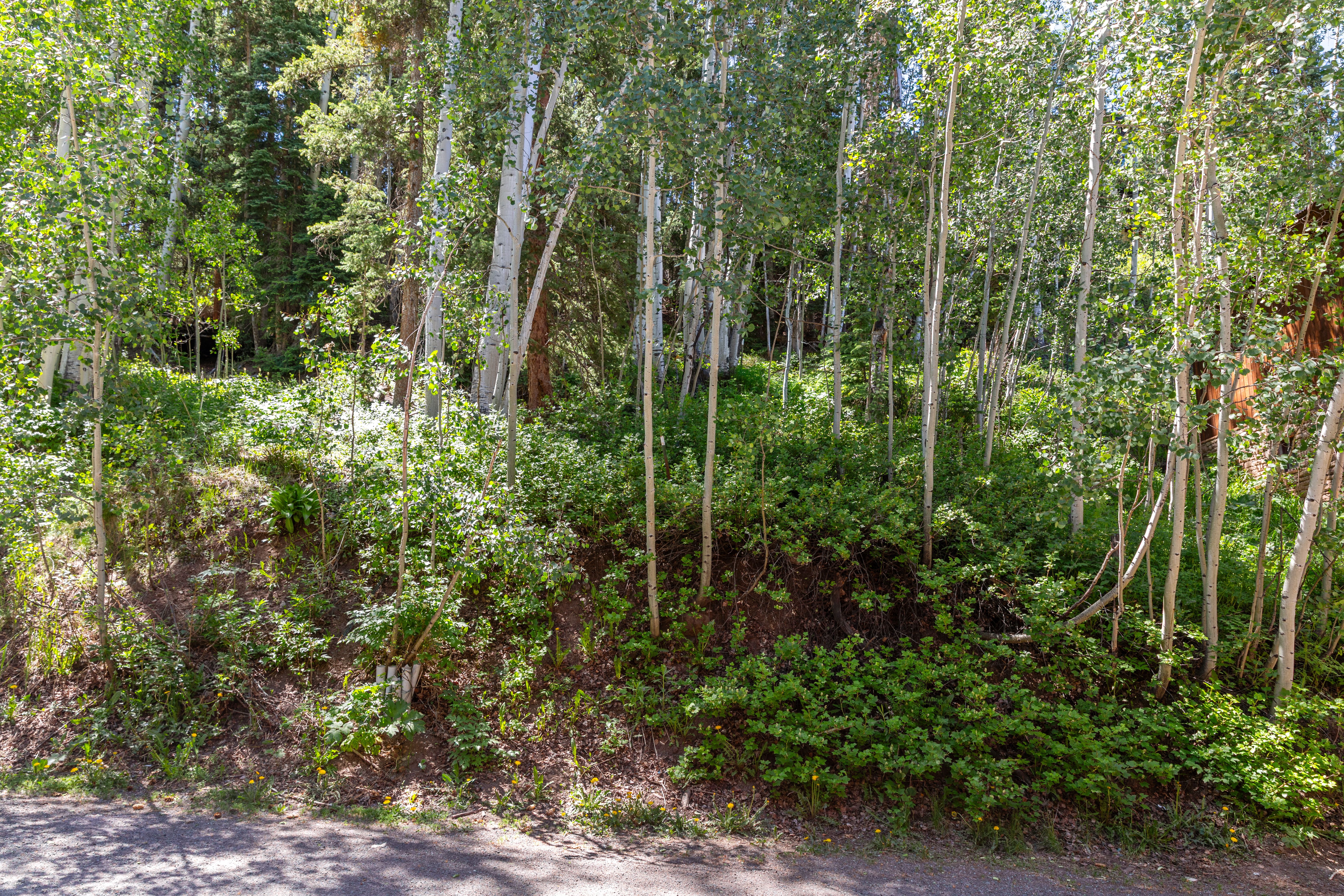  Private Homesite in Telluride - Walk-to-Ski - 物件實景