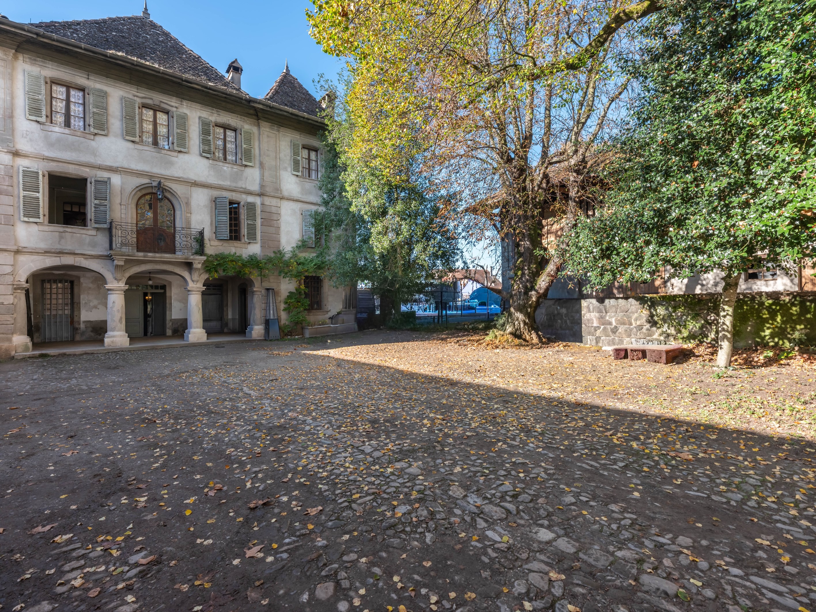  Exceptional manor at the gates of Geneva - 物件實景